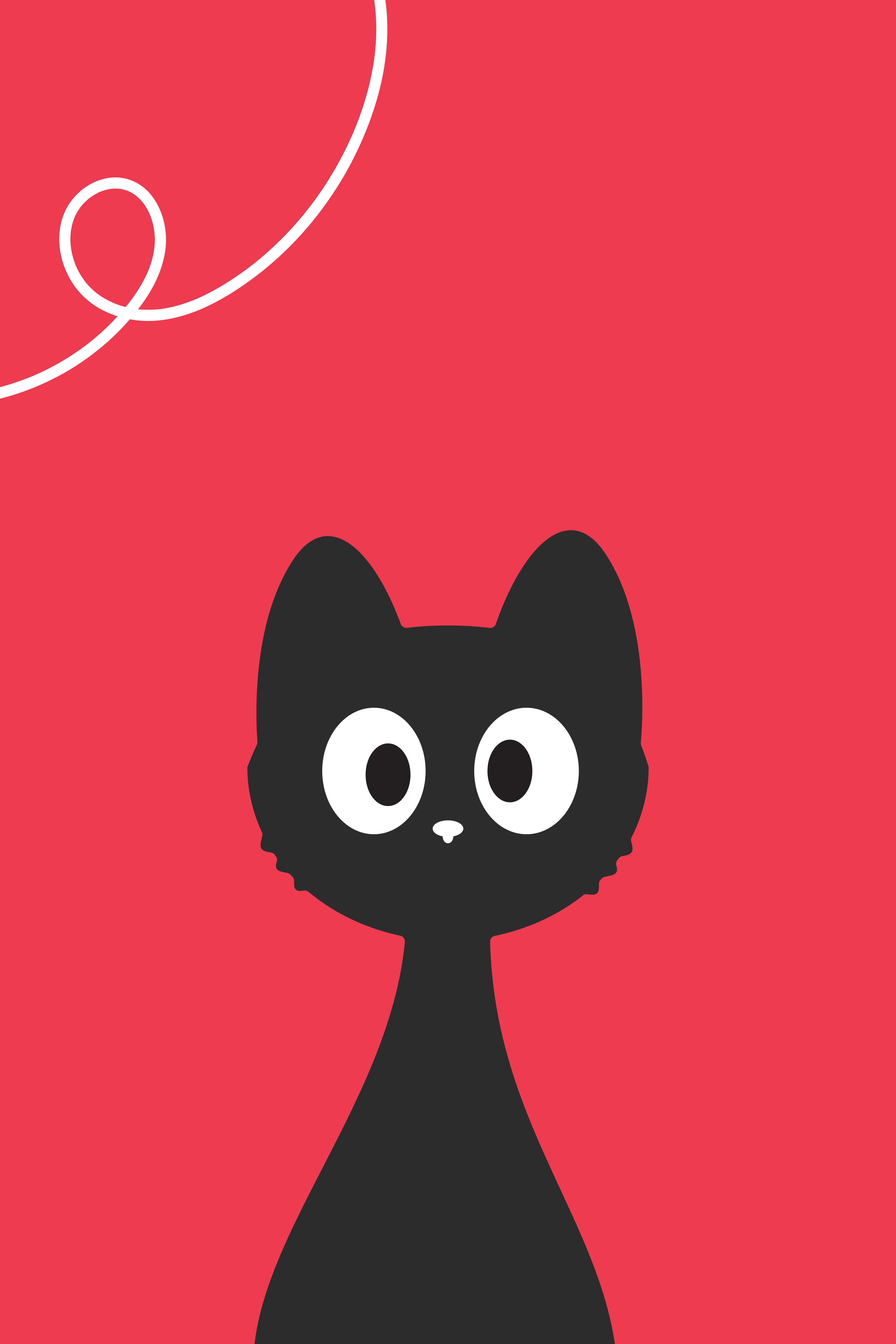 A black cat with wide eyes on a red background.