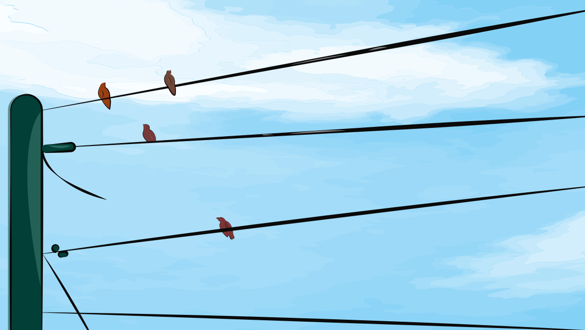 전선 위에 앉아 있는 네 마리의 작은 새들