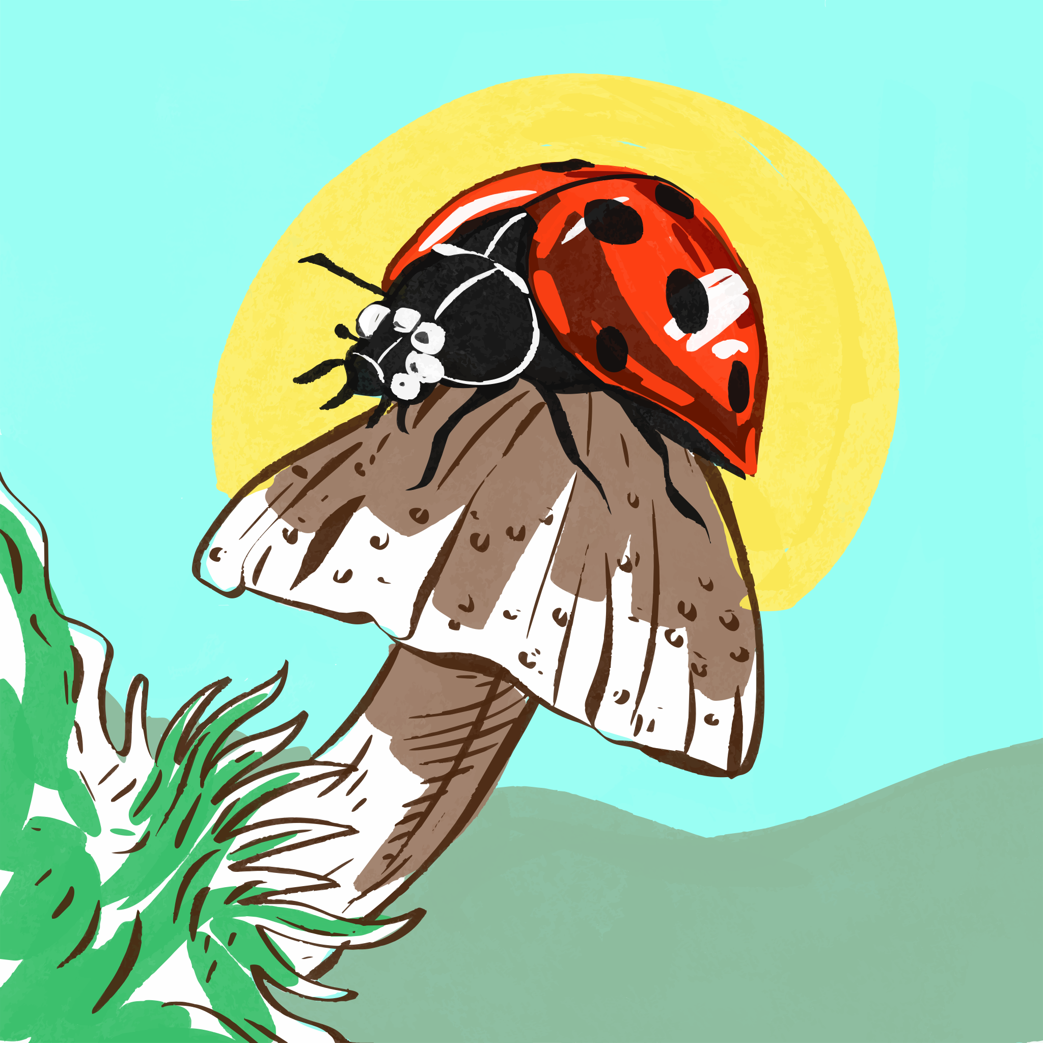 A ladybug sits on a mushroom under the sun.