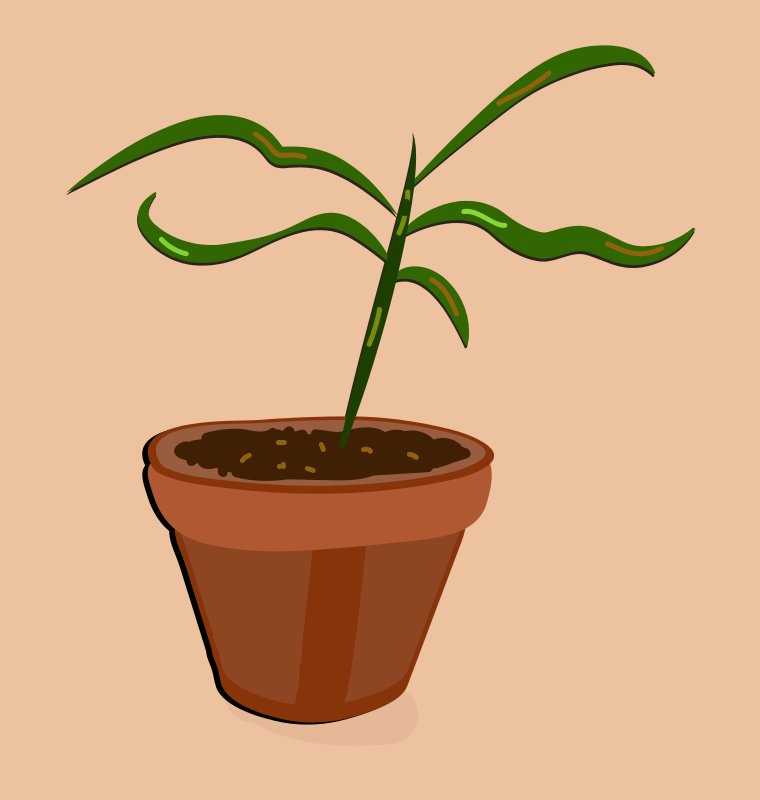 갈색 화분에 있는 작은 초록색 식물.