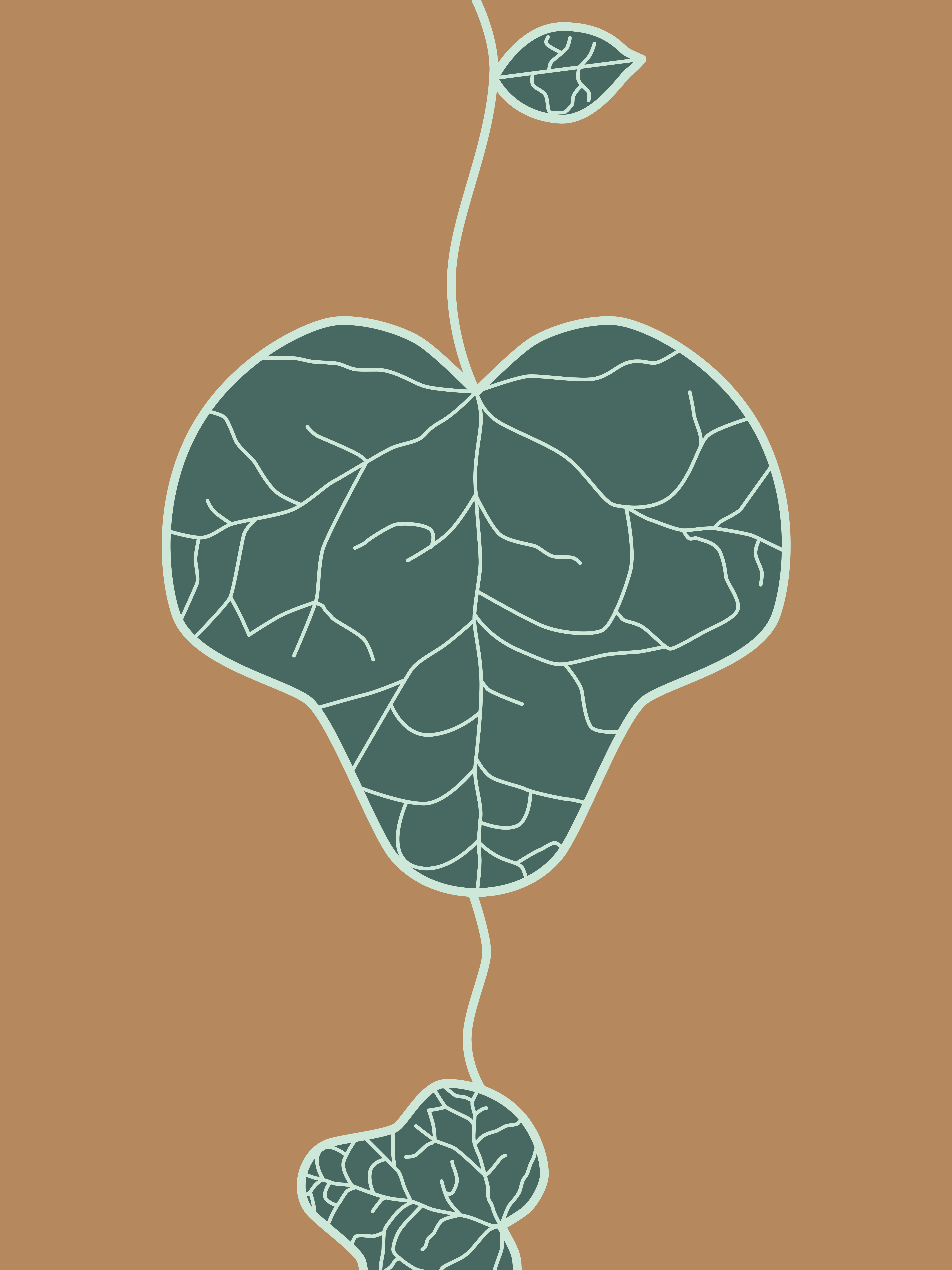 A stylized drawing of a vine with large leaves