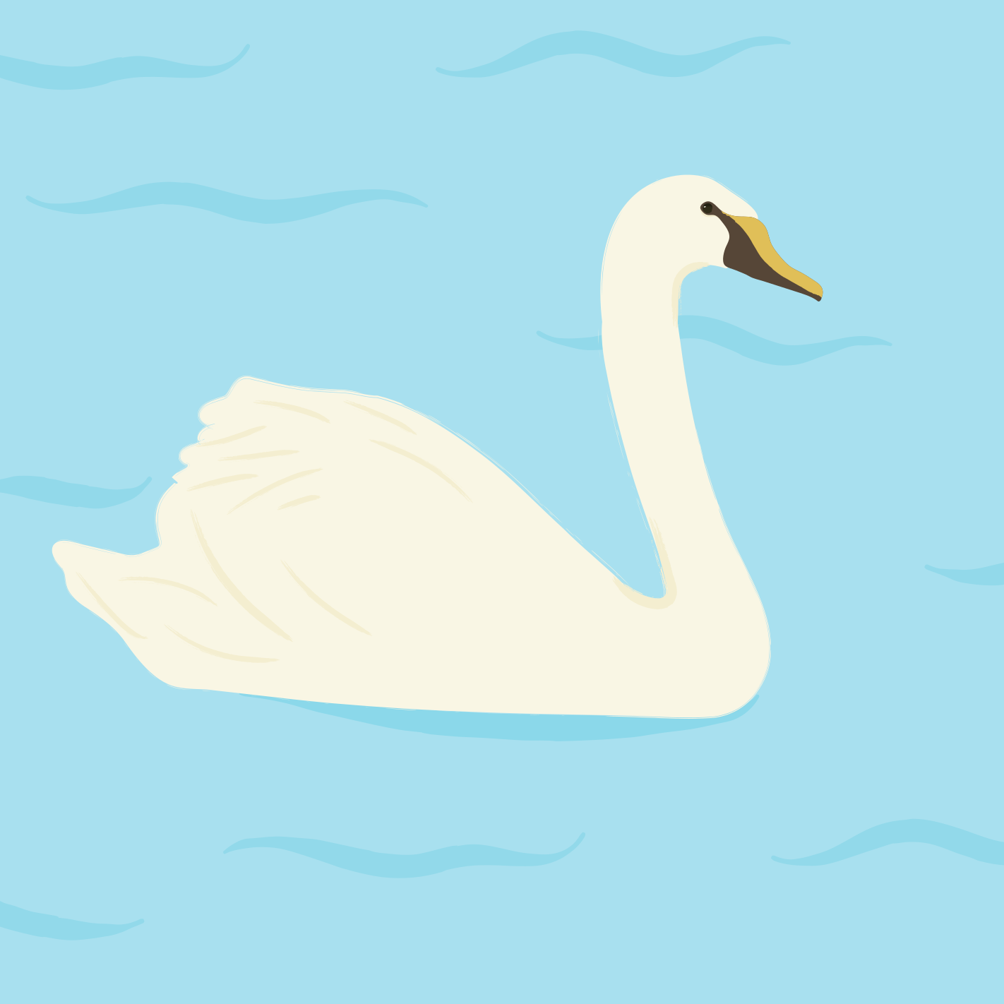 하얀 백조가 파란 호수에서 헤엄치고 있다.