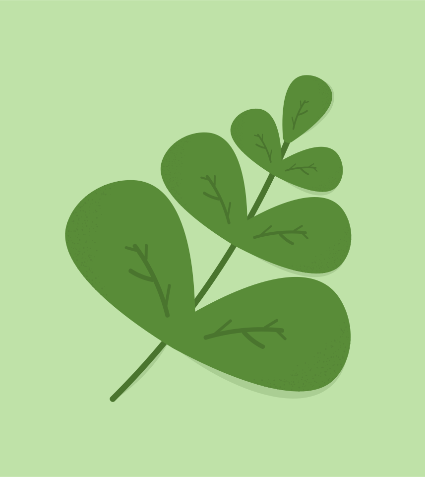 연한 녹색 배경에 줄무늬가 있는 초록 잎