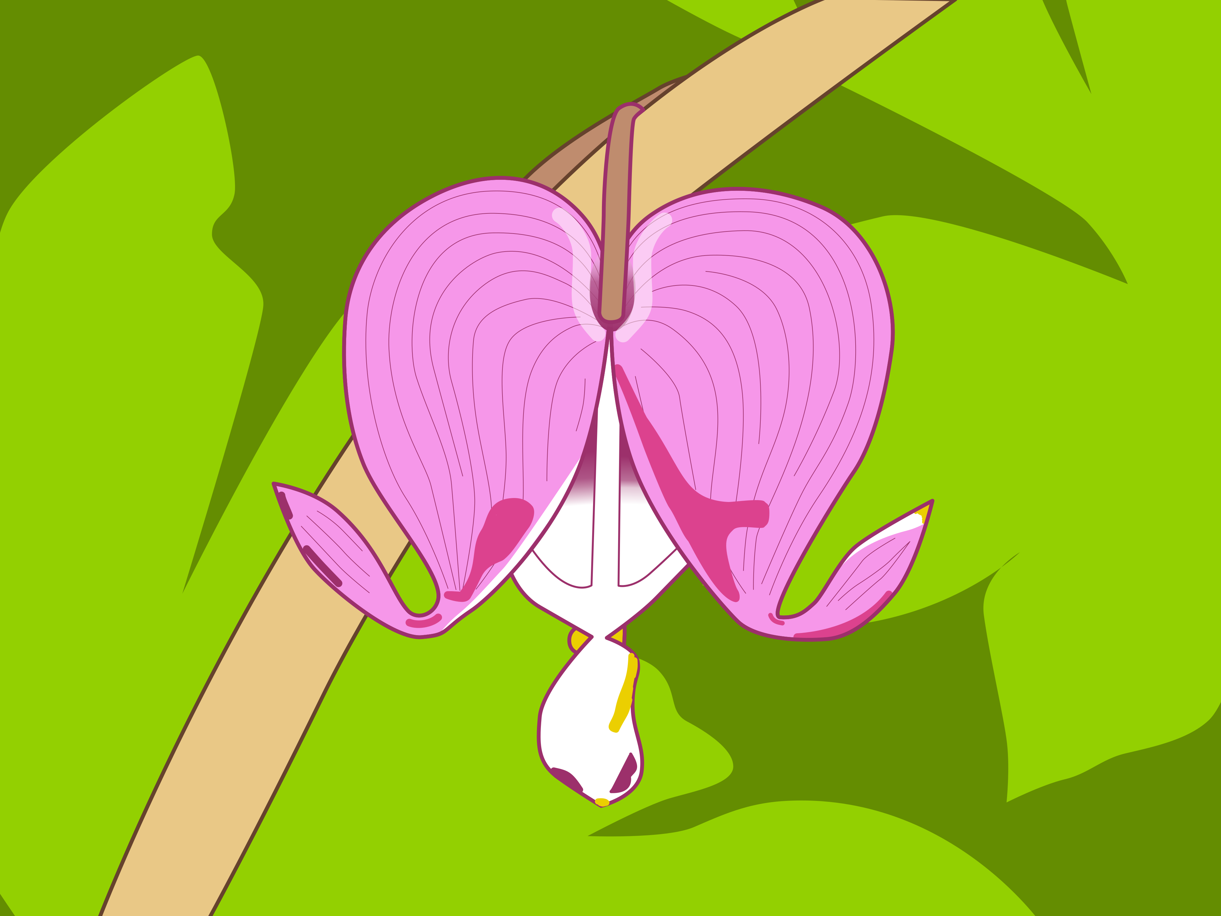 A pink bleeding heart flower hangs from a branch