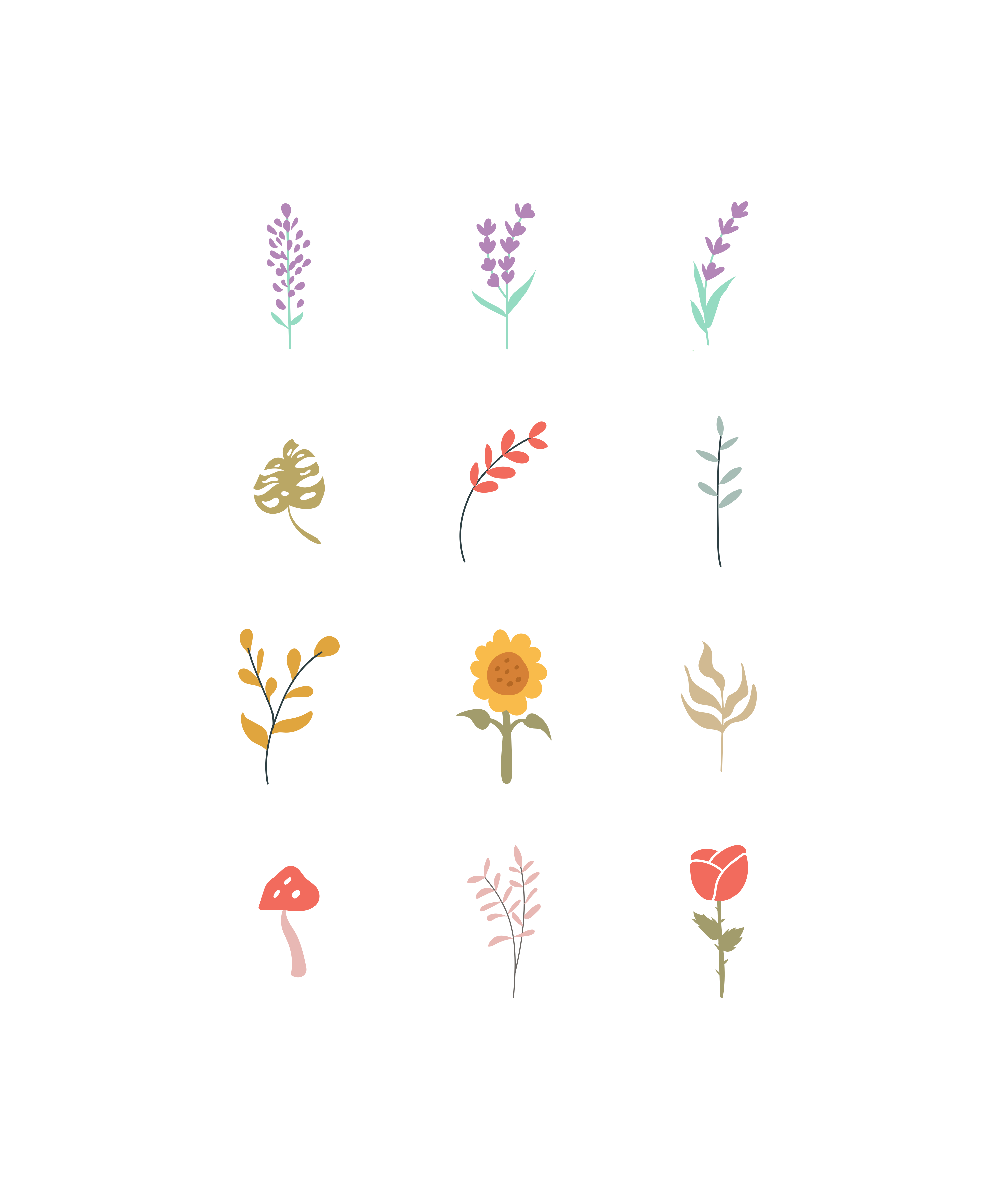 Eine Sammlung verschiedener botanischer Illustrationen auf weißem Hintergrund.