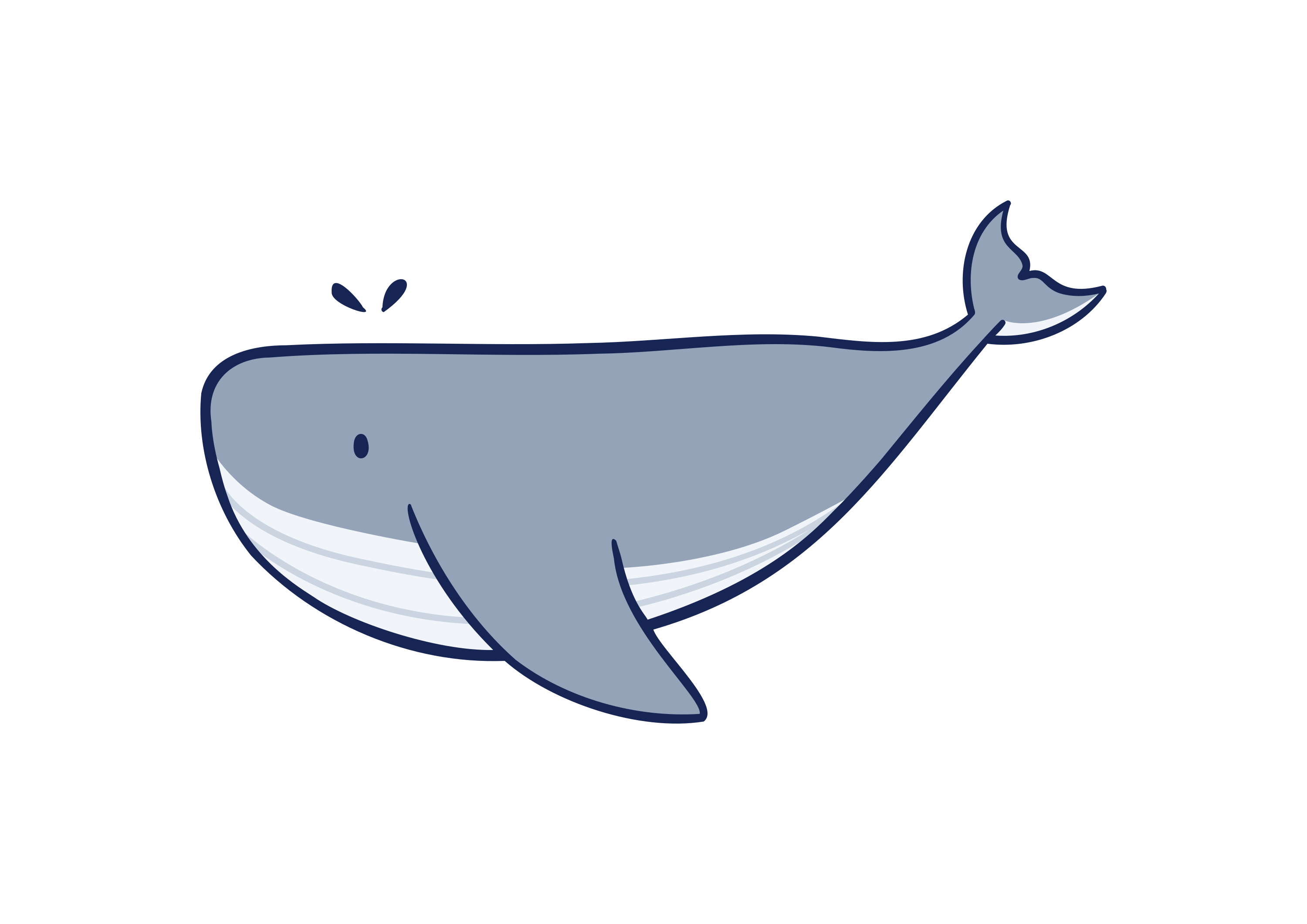 A blue whale spouting water on a white background