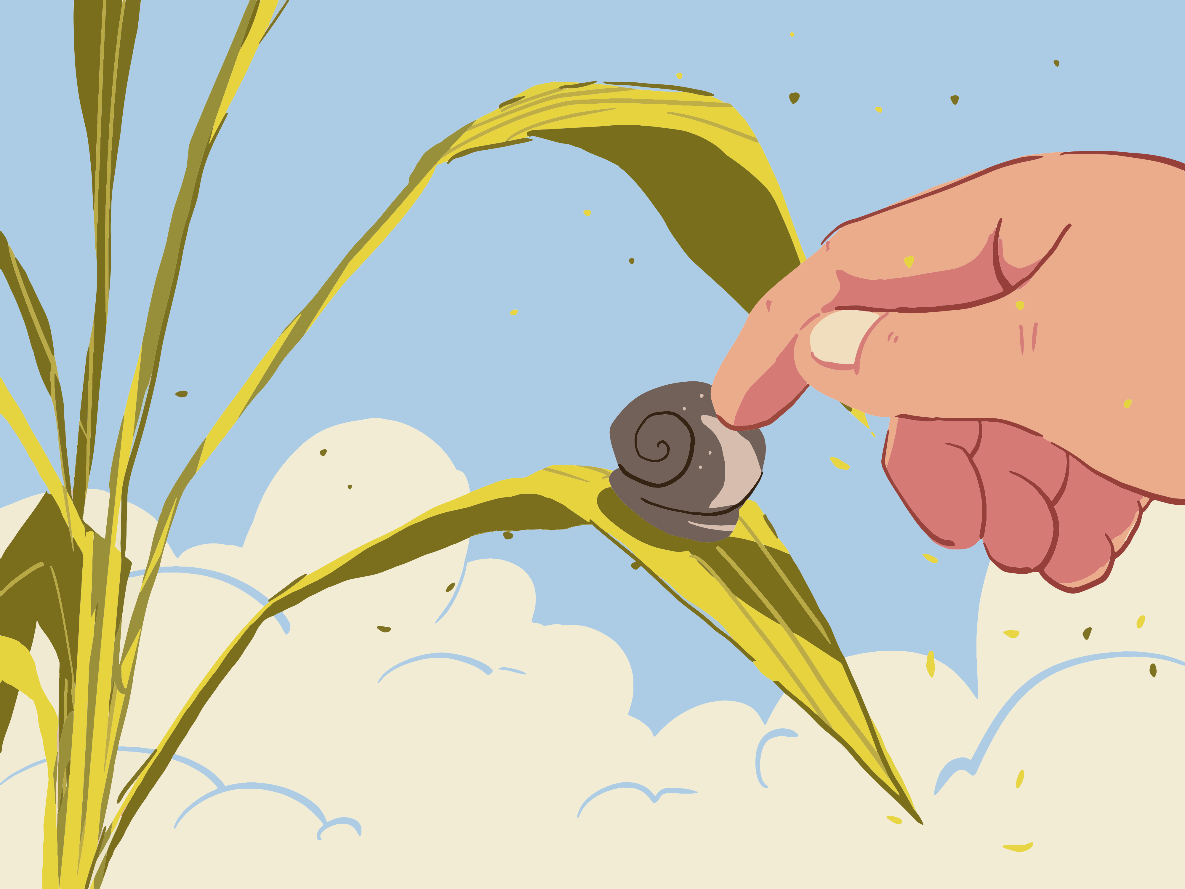 A finger gently touches a snail on a plant leaf.