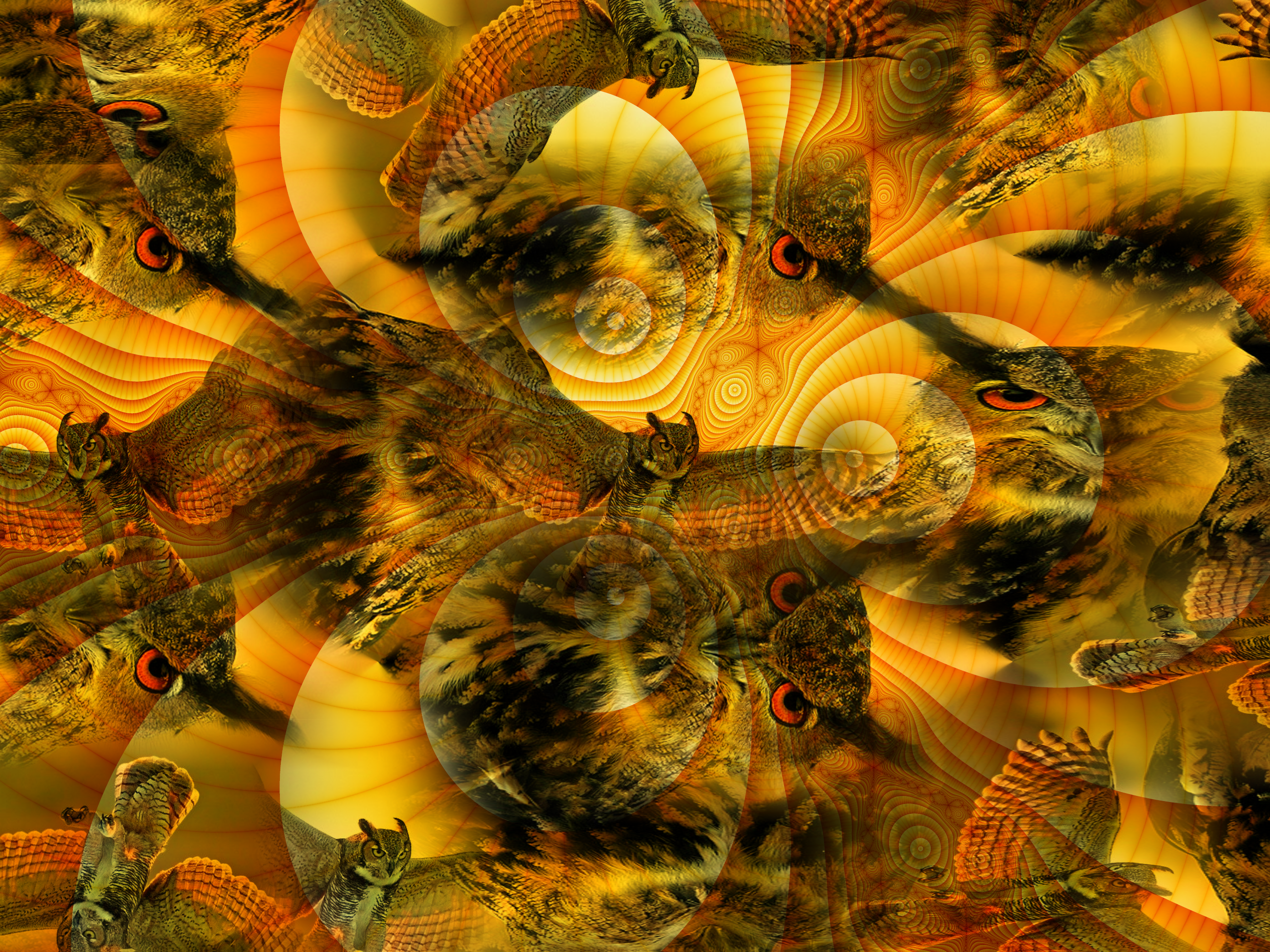 Collage di gufi con motivi caldi e vorticosi