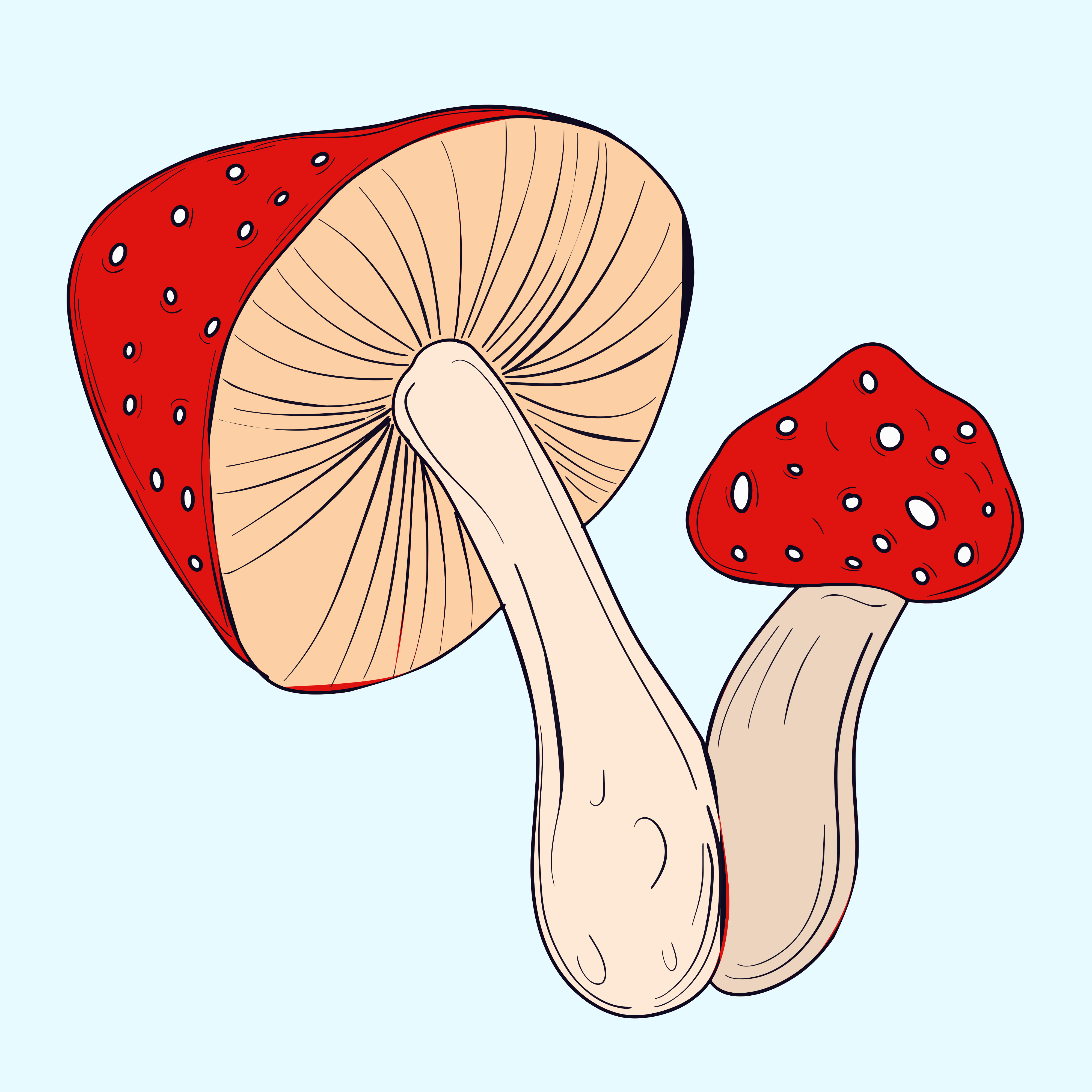 Two red mushrooms with white spots.