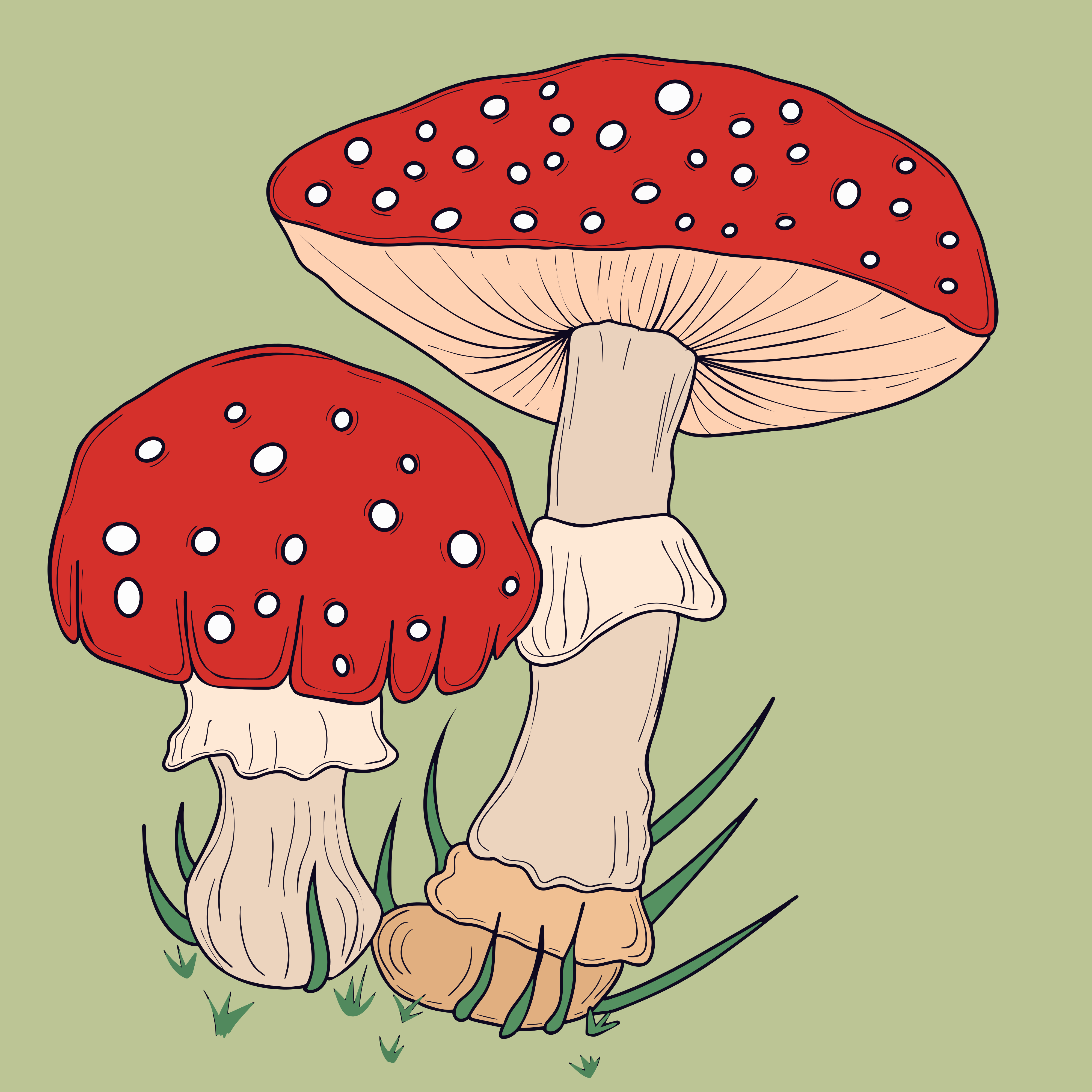 Two red mushrooms with white spots on green background