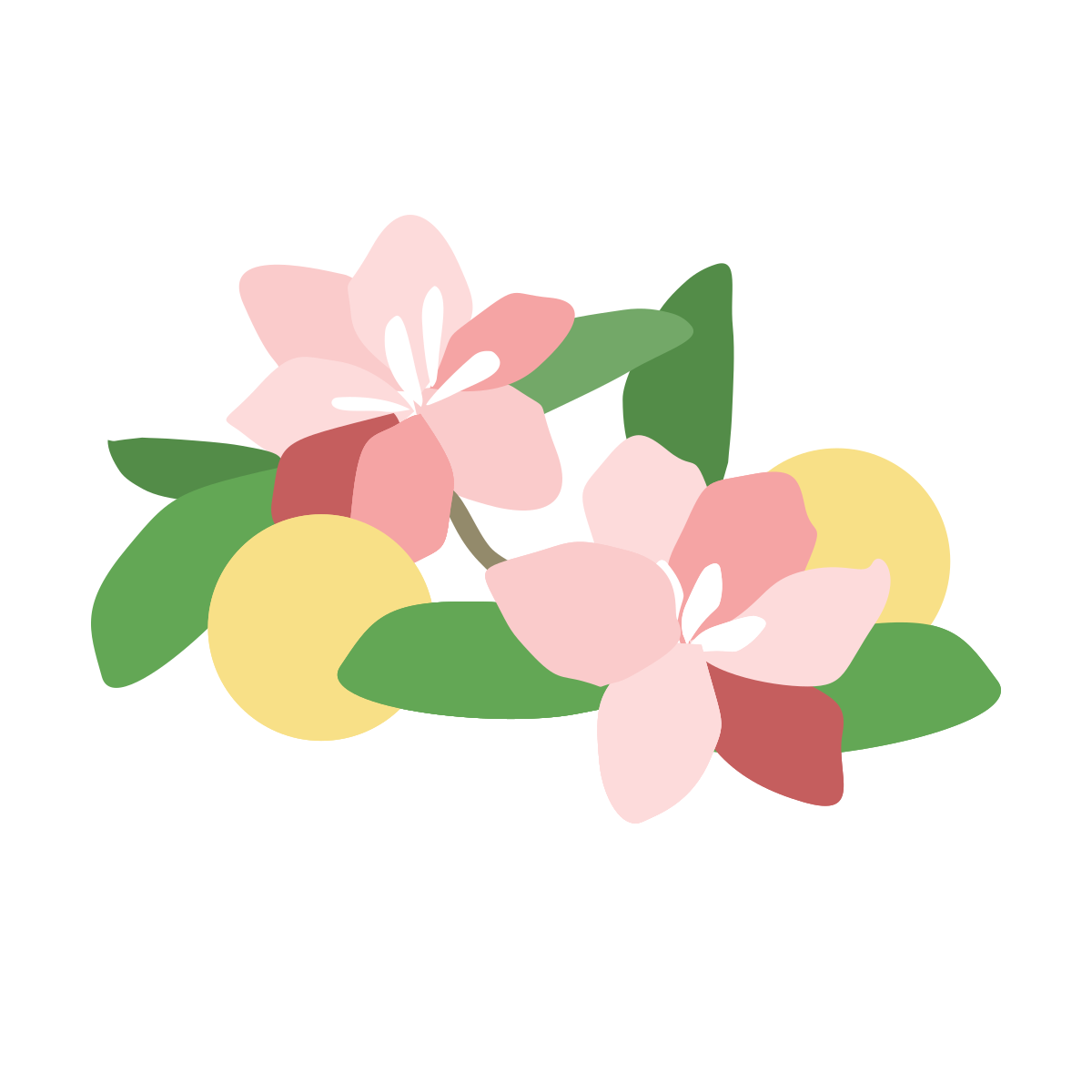 ピンクの花に緑の葉と黄色い円がついています