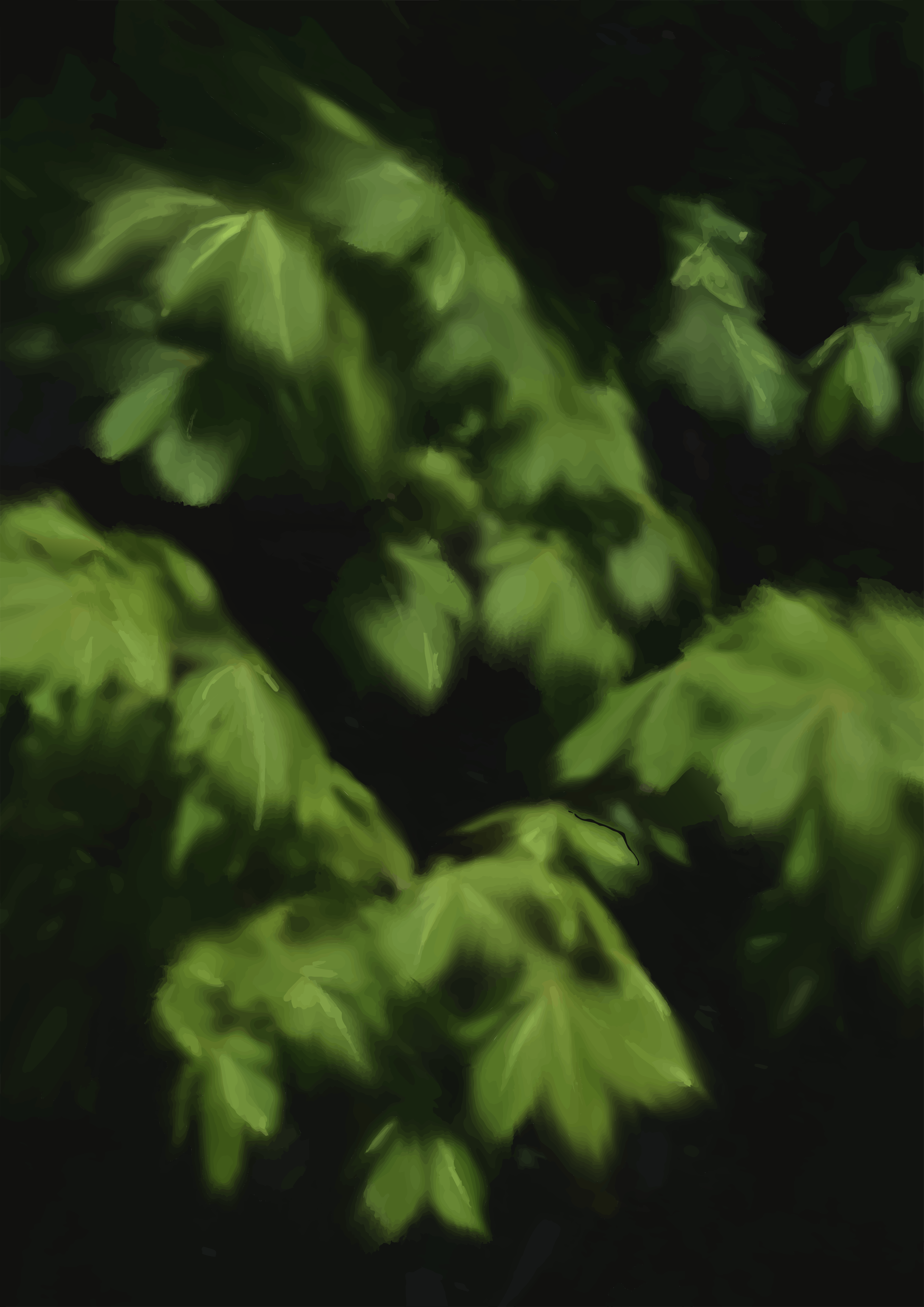 Folhas verdes borradas contra um fundo escuro