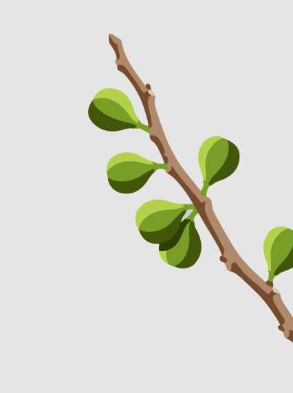 A brown branch with green leaves against a gray background.
