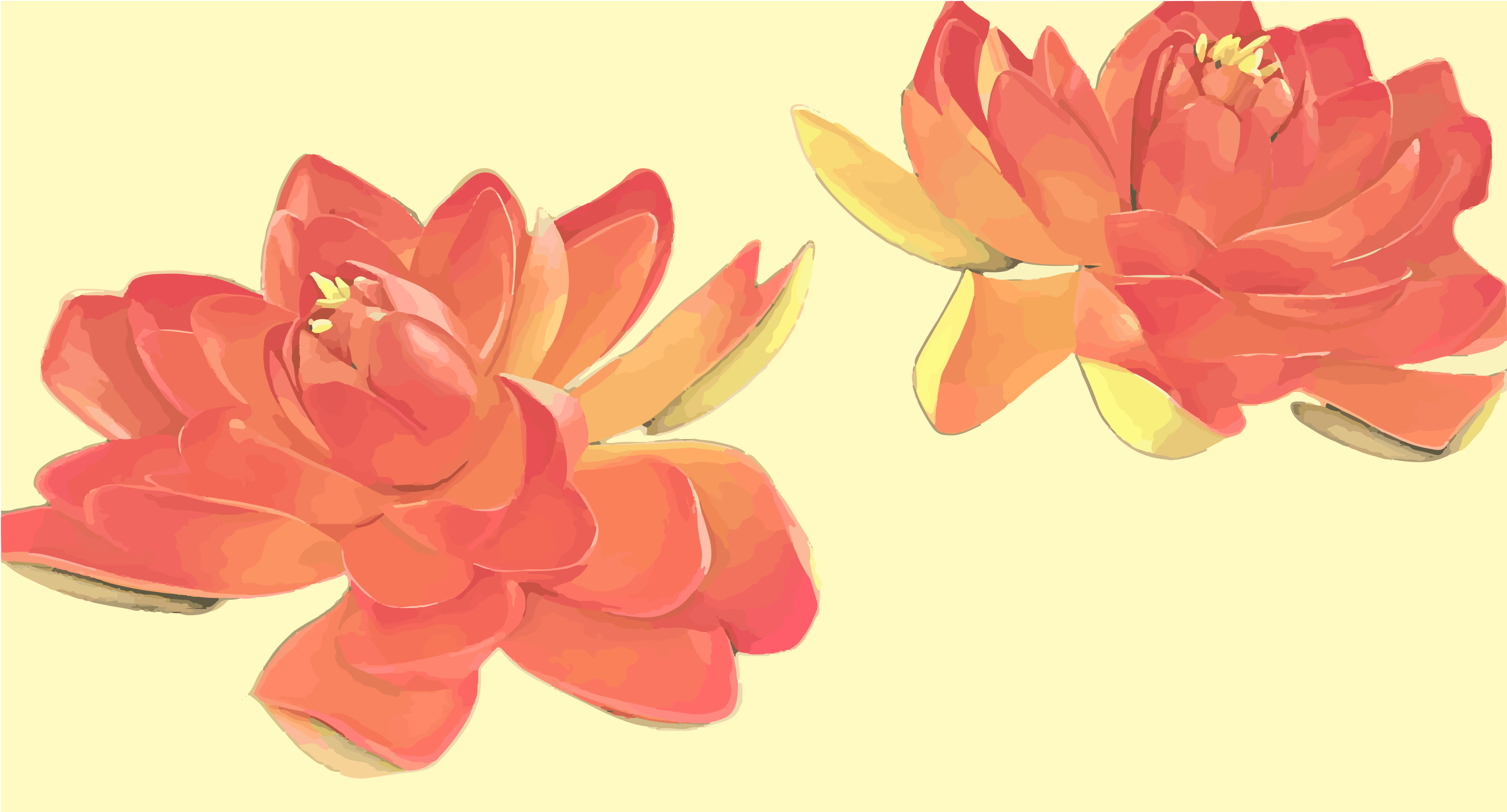 Two vibrant orange lotus flowers on a pale yellow background