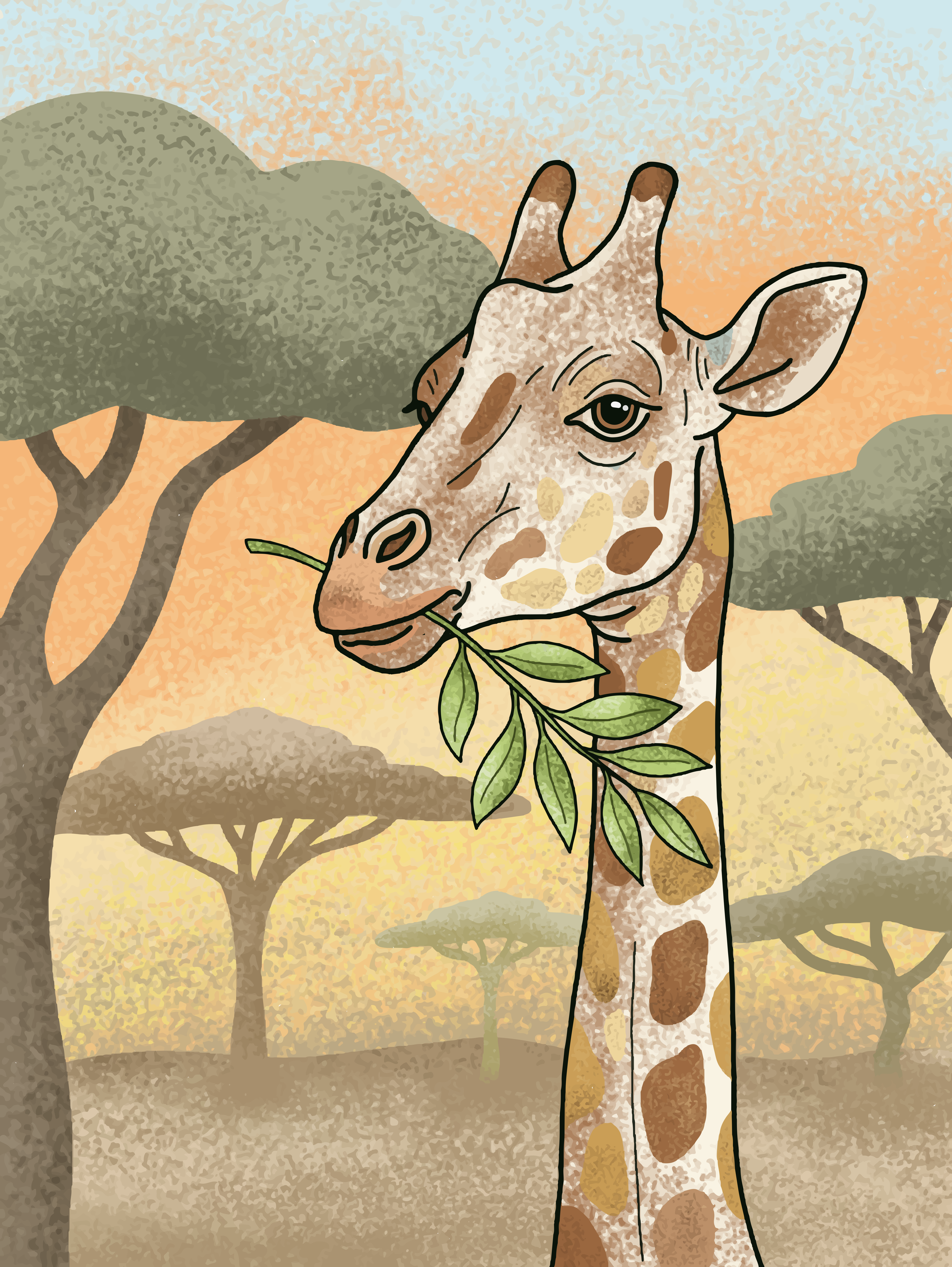 Una giraffa che mangia foglie nella savana