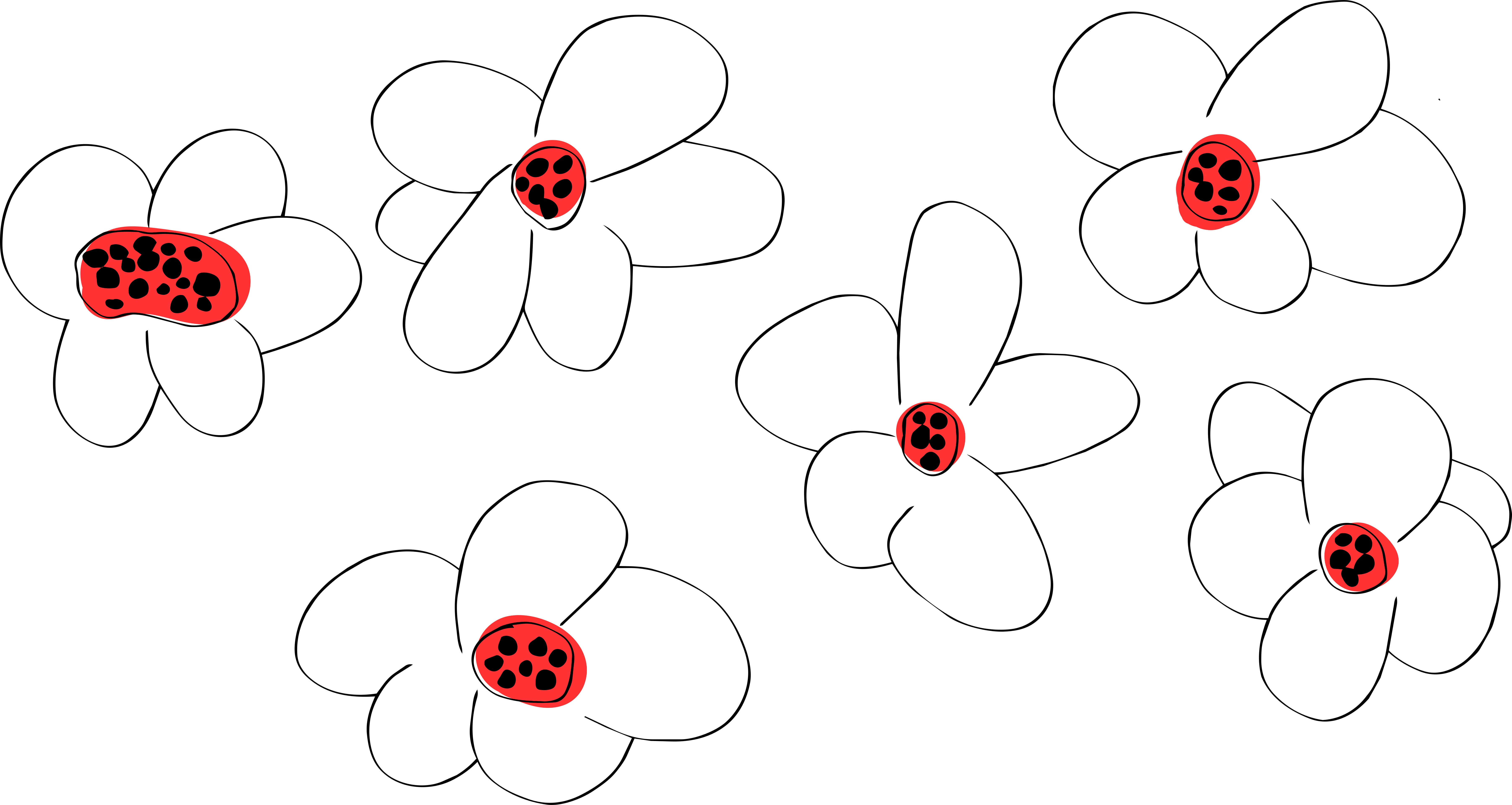 Seven simple white flowers with red centers