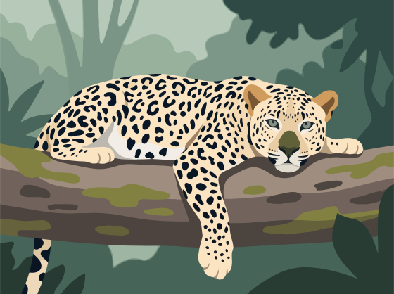 A leopard rests on a tree branch in a forest.
