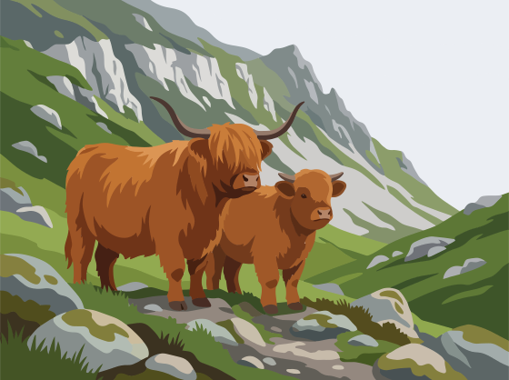 Two highland cows stand on a grassy mountain slope.