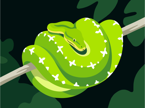 A coiled green snake with white markings on a branch