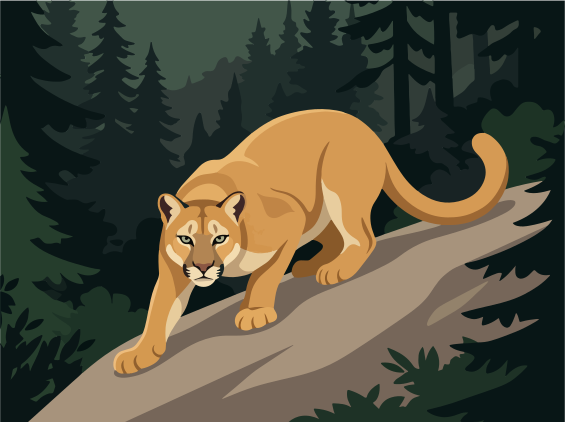 Ein Puma läuft auf einem umgestürzten Baum in einem Wald.