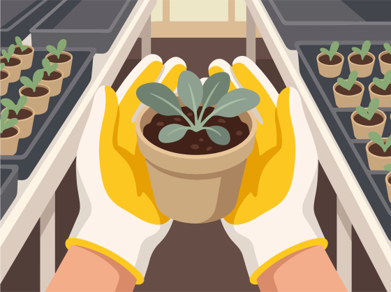 Hands in yellow gloves hold a potted plant.