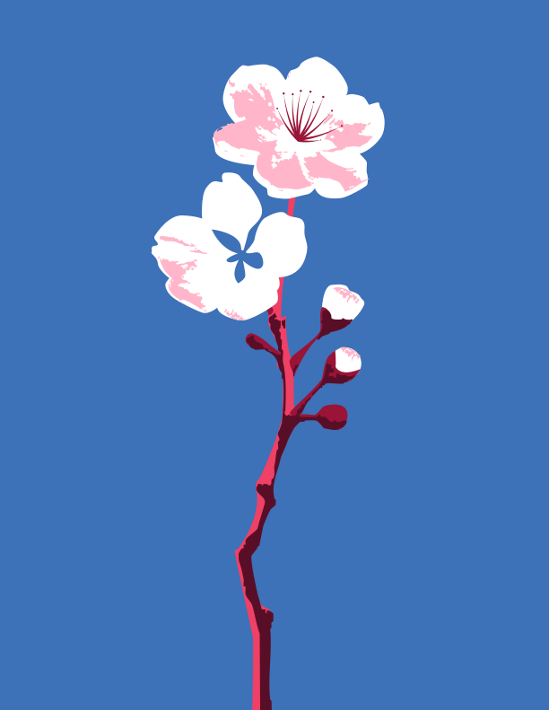 Photo by nastia_zhabka