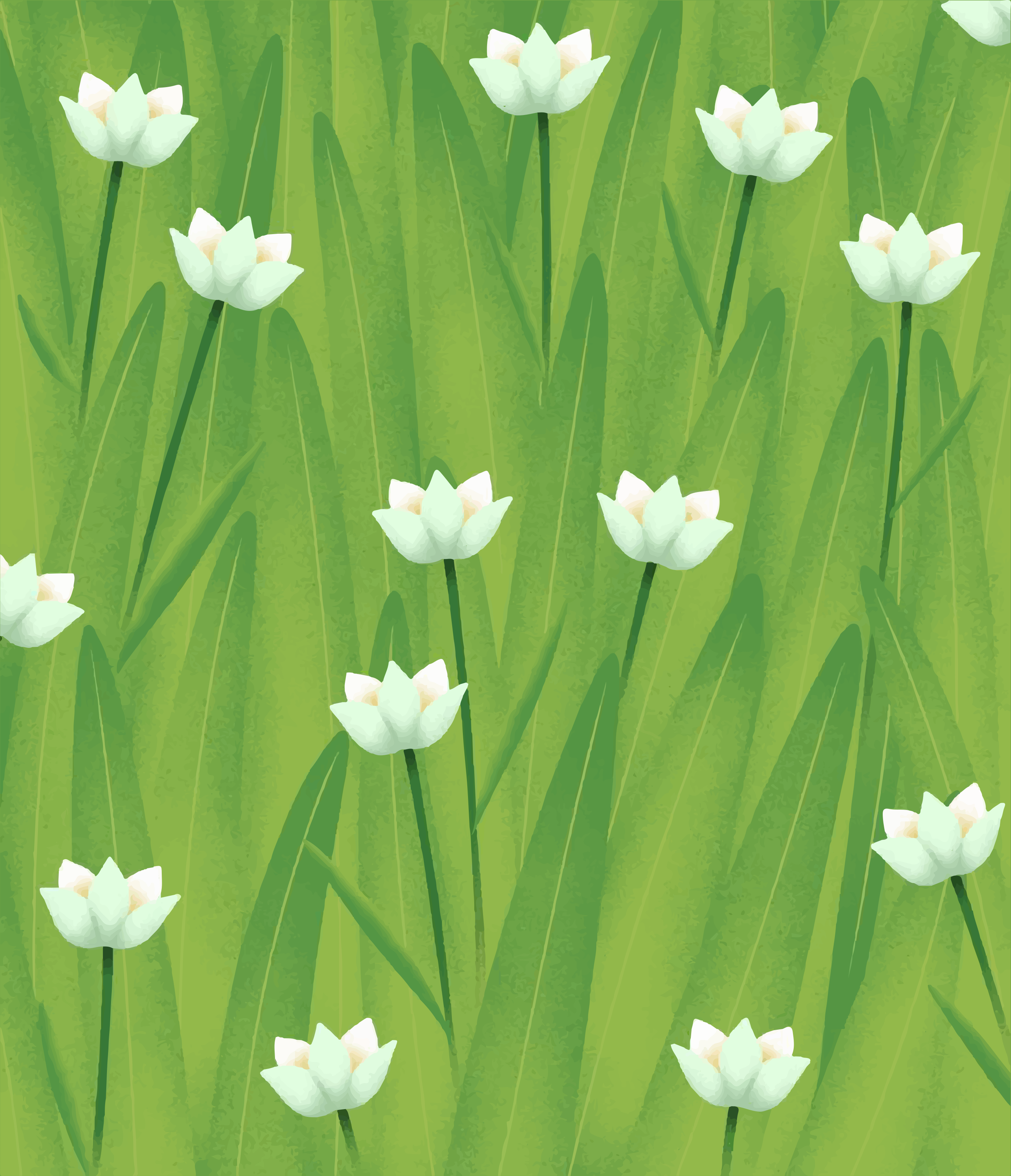 Weiße Blumen blühen auf einem üppig grünen Feld.