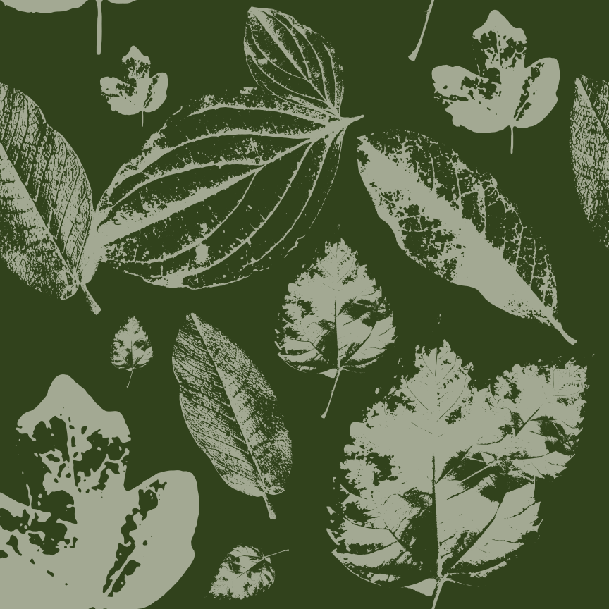 Foglie assortite disegnano su uno sfondo verde scuro