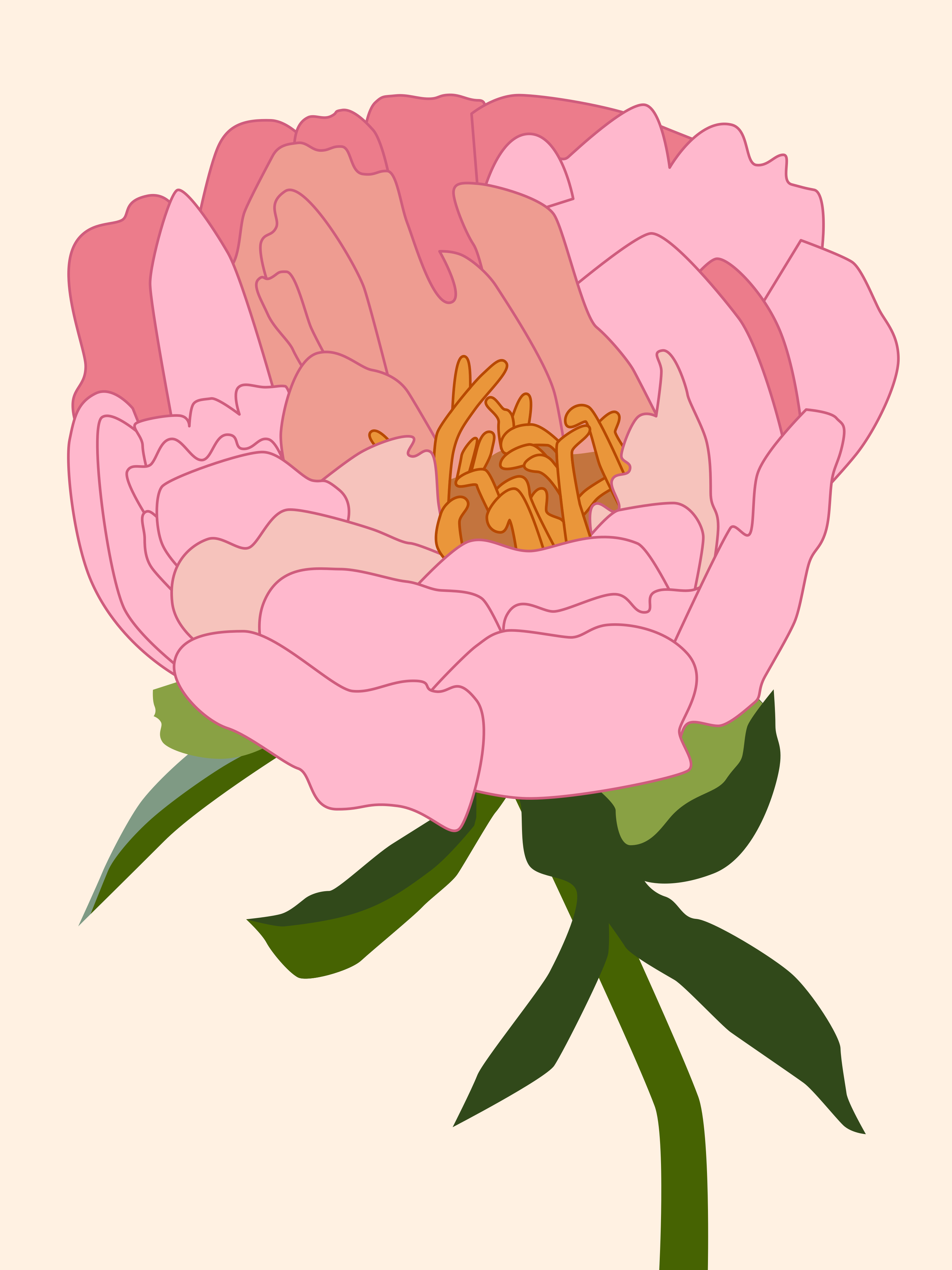 Un delicato fiore di peonia rosa con foglie verdi