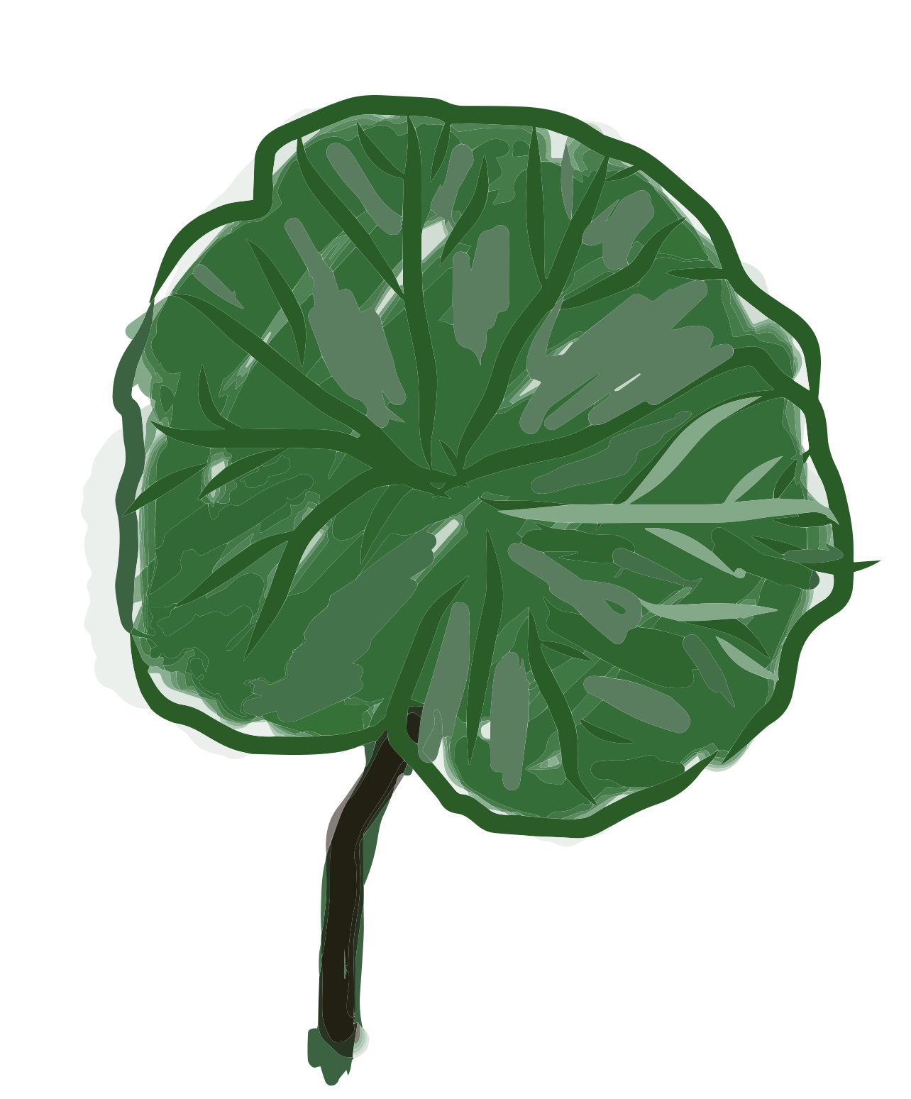 Ein großes grünes Blatt mit dunklem Stängel