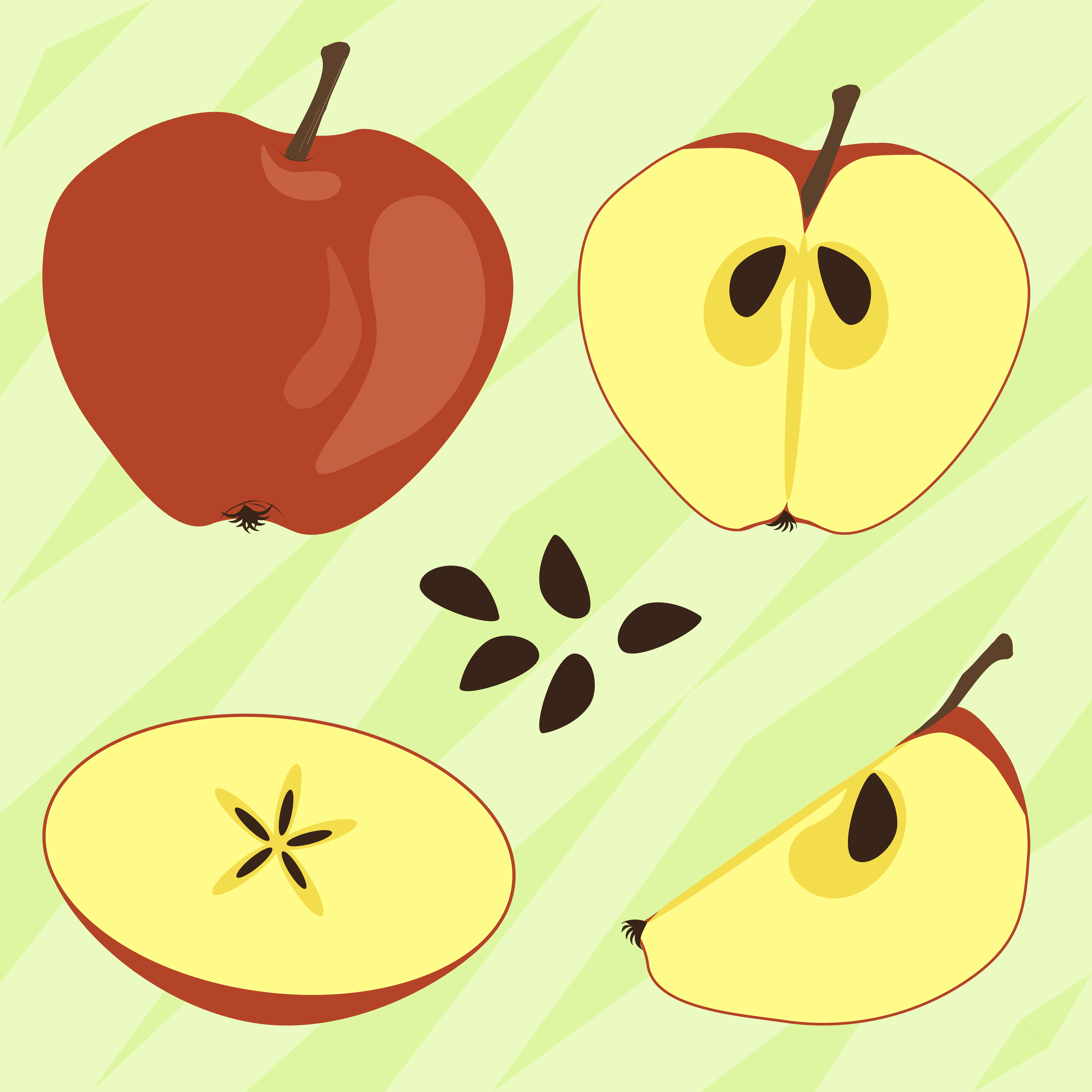 A whole apple, sliced apple, and apple seeds