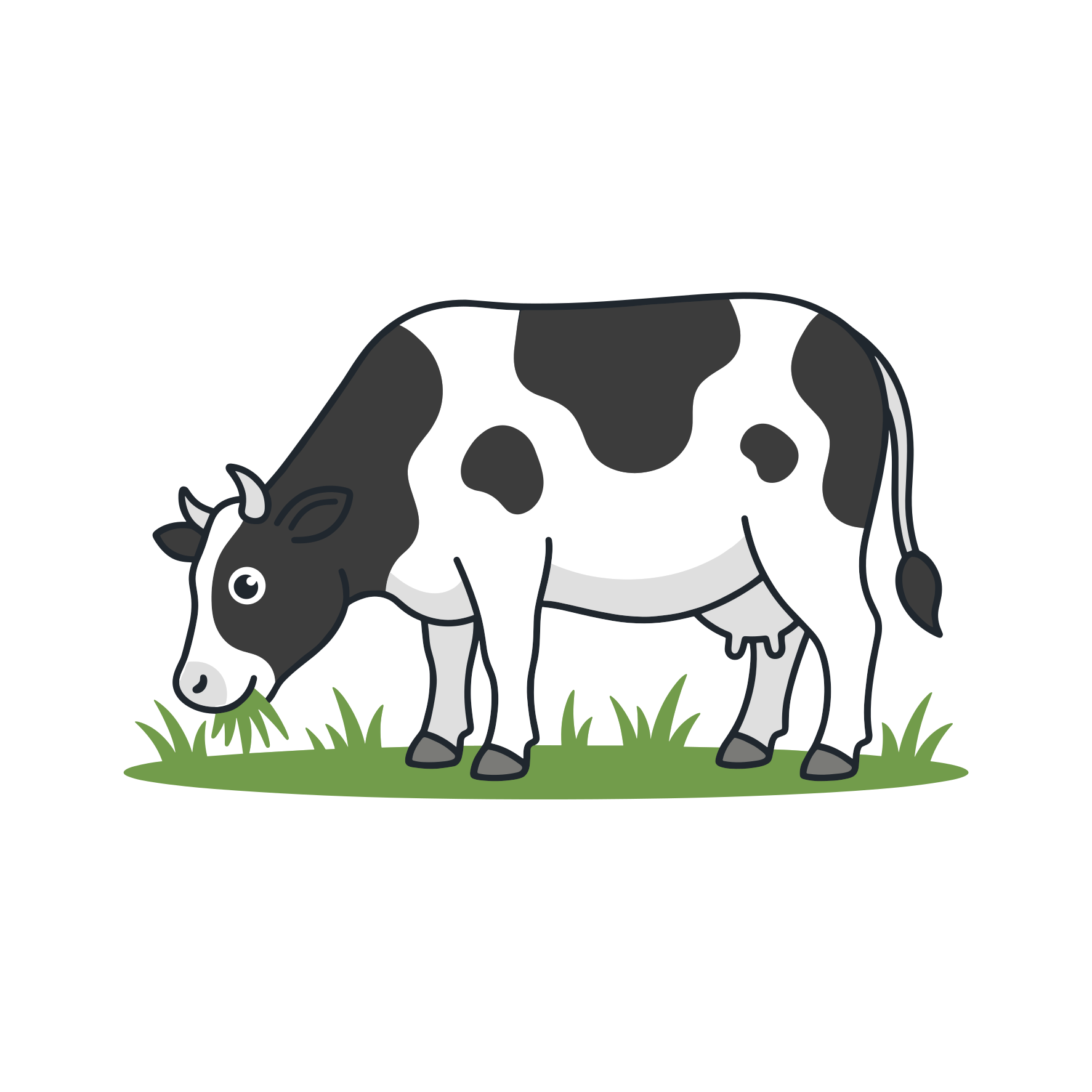 A black and white cow grazing in green grass.