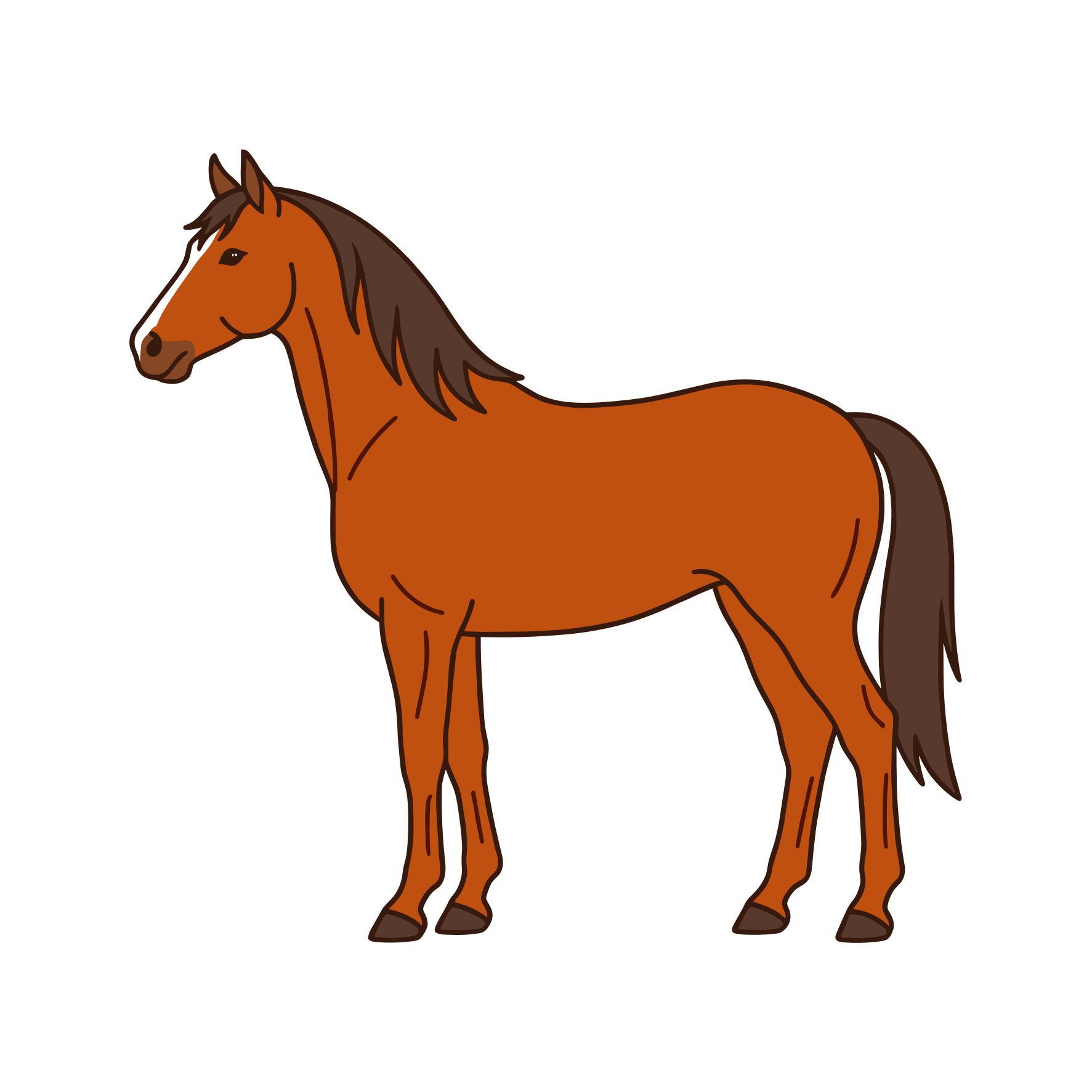 Un cavallo marrone in piedi su uno sfondo bianco.