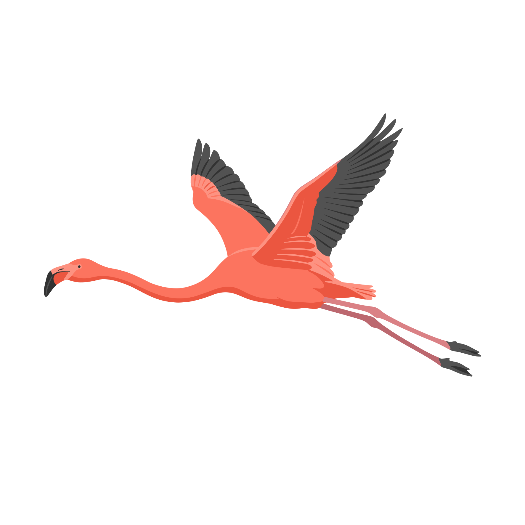 A flamingo flying with wings spread wide