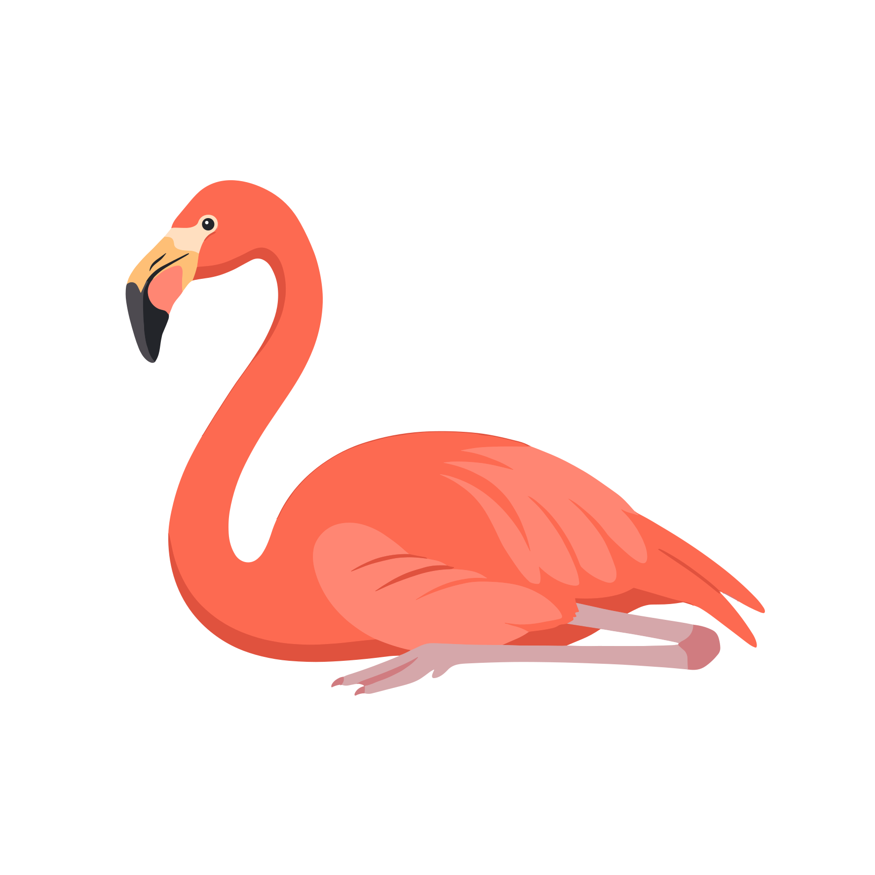 A pink flamingo rests on a white background