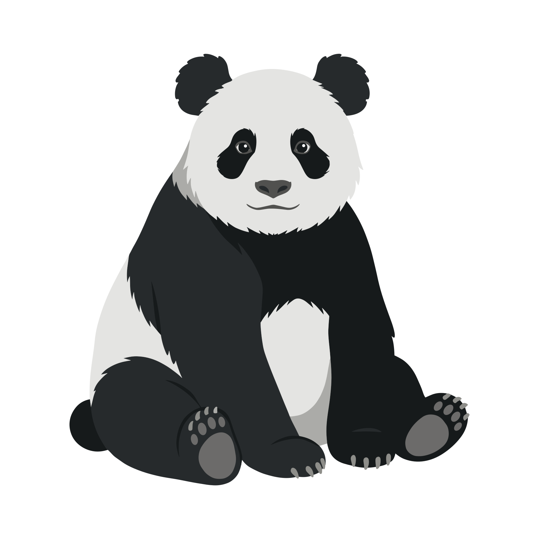 Seekor beruang panda duduk di atas latar belakang putih.