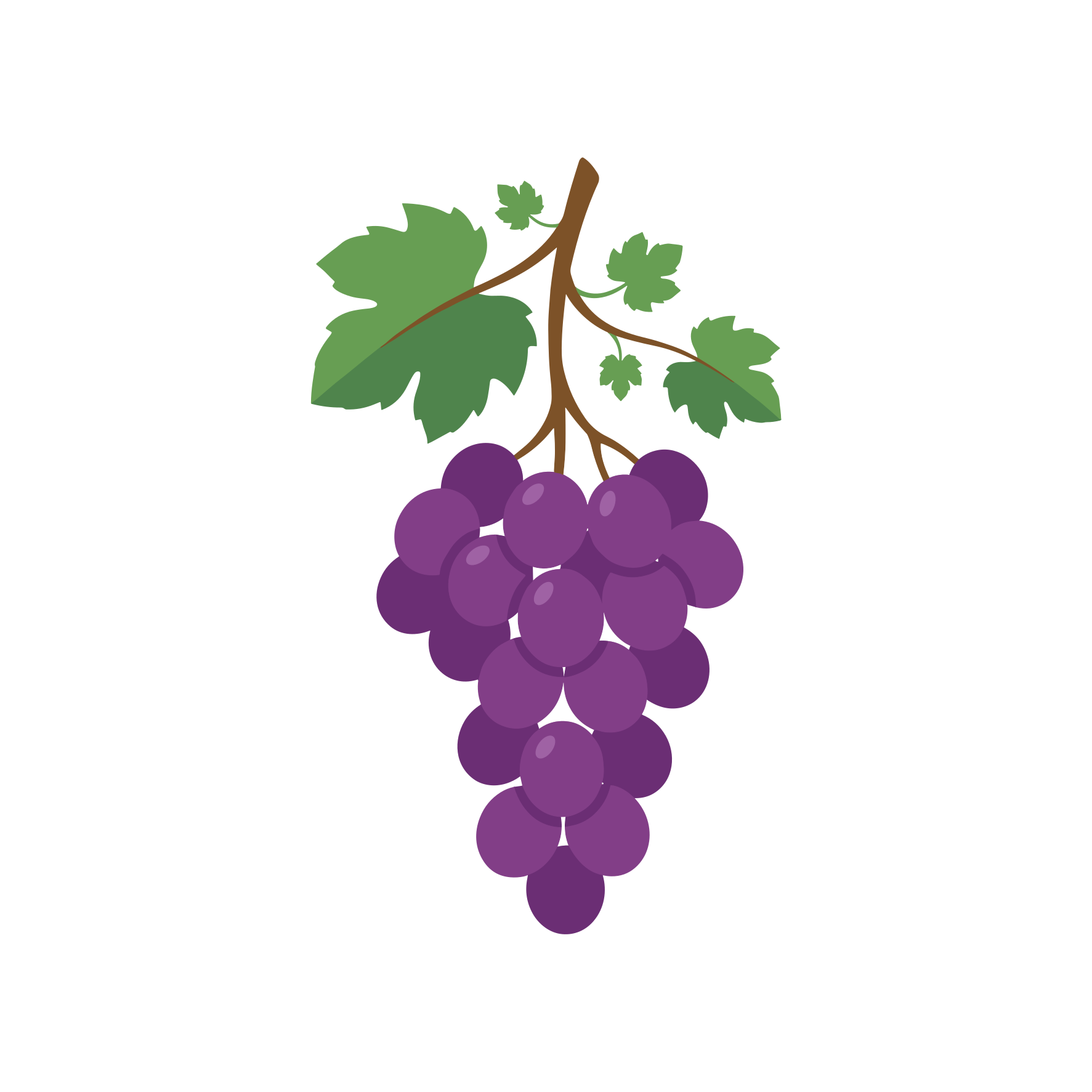 A bunch of ripe purple grapes with green leaves