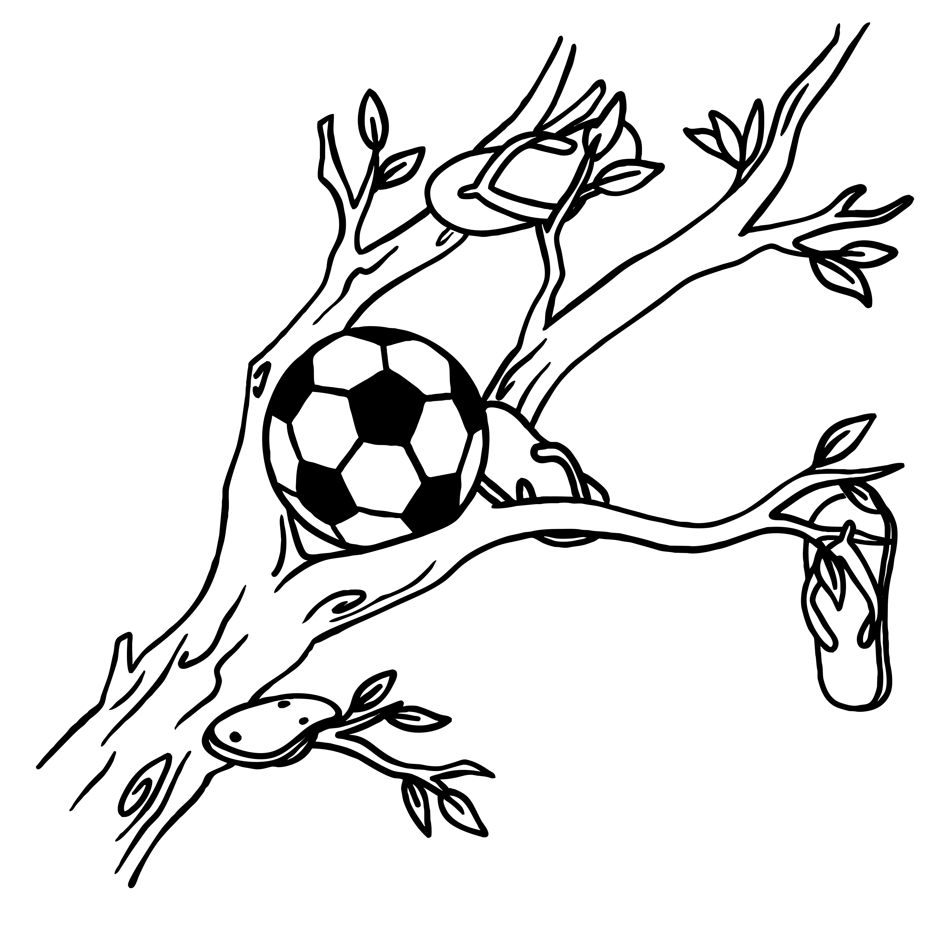 Ein Fußball und Flip-Flops auf einem Ast