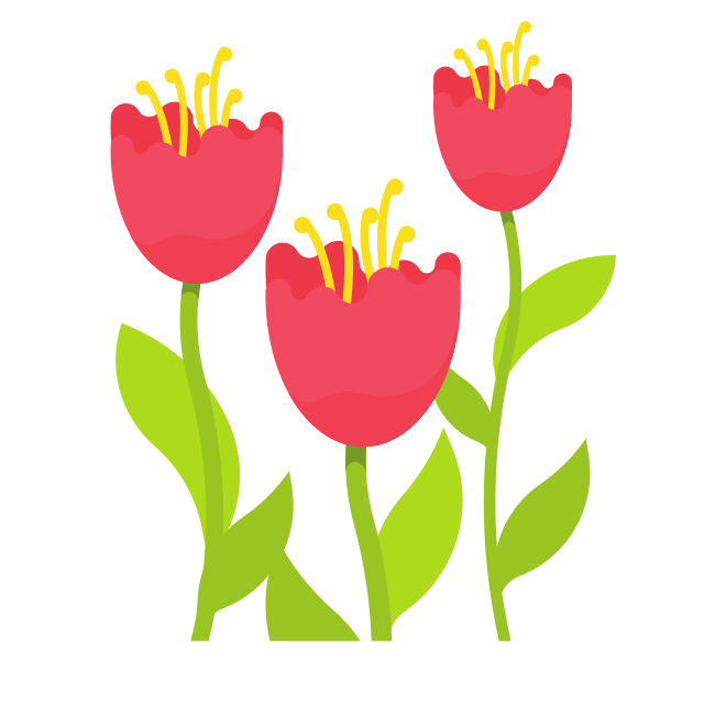 Tiga tulip merah dengan batang dan daun hijau