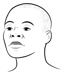 Dibujo lineal estilizado de la cabeza de una persona calva.