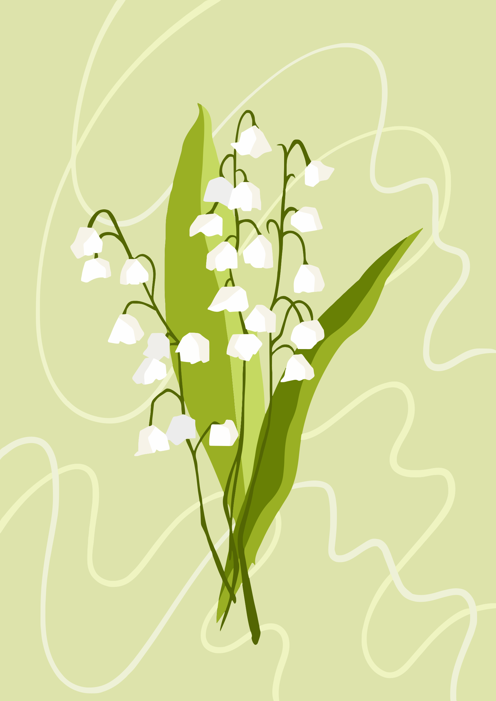 White lily of the valley flowers with green leaves.