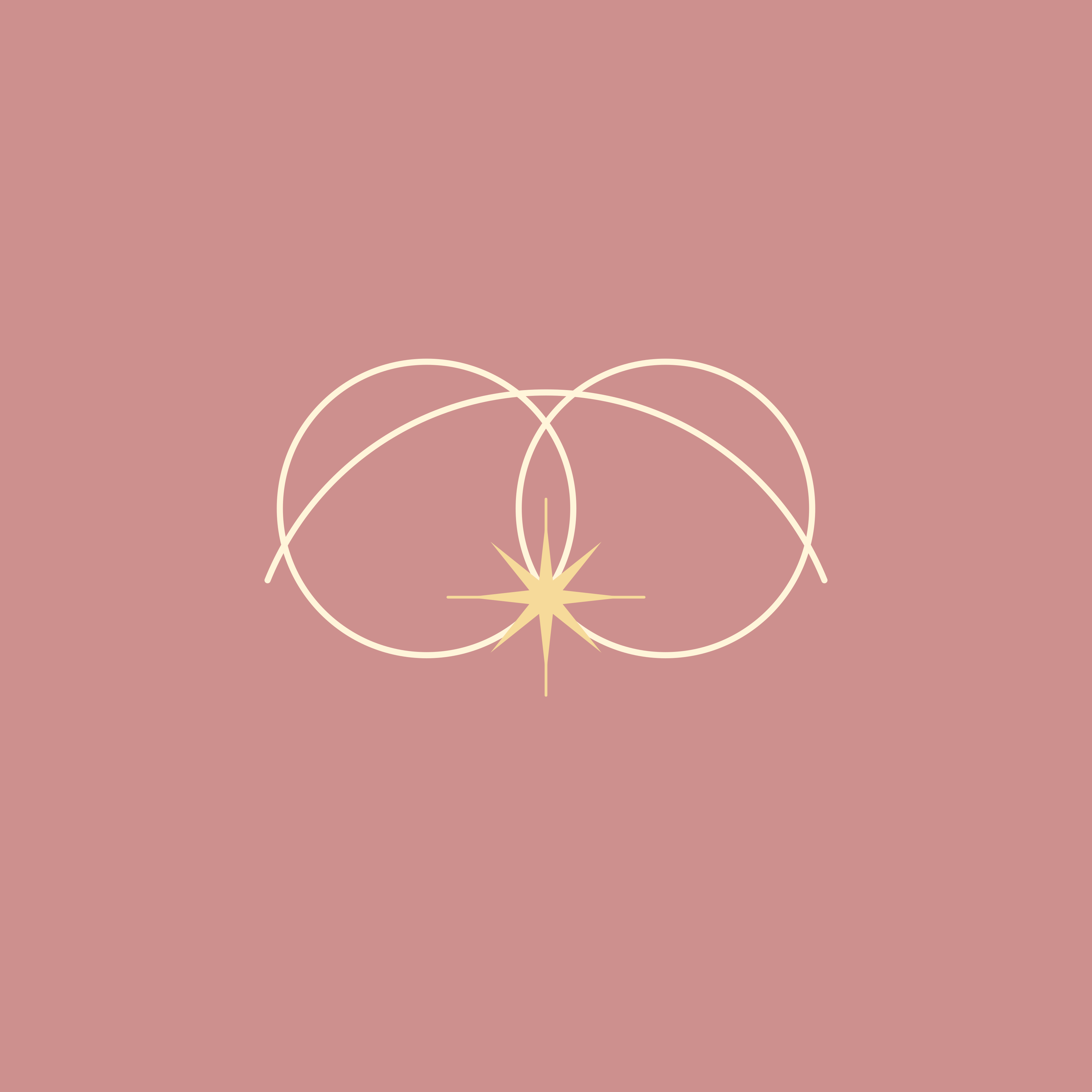 Two overlapping circles with a starburst on a pink background.