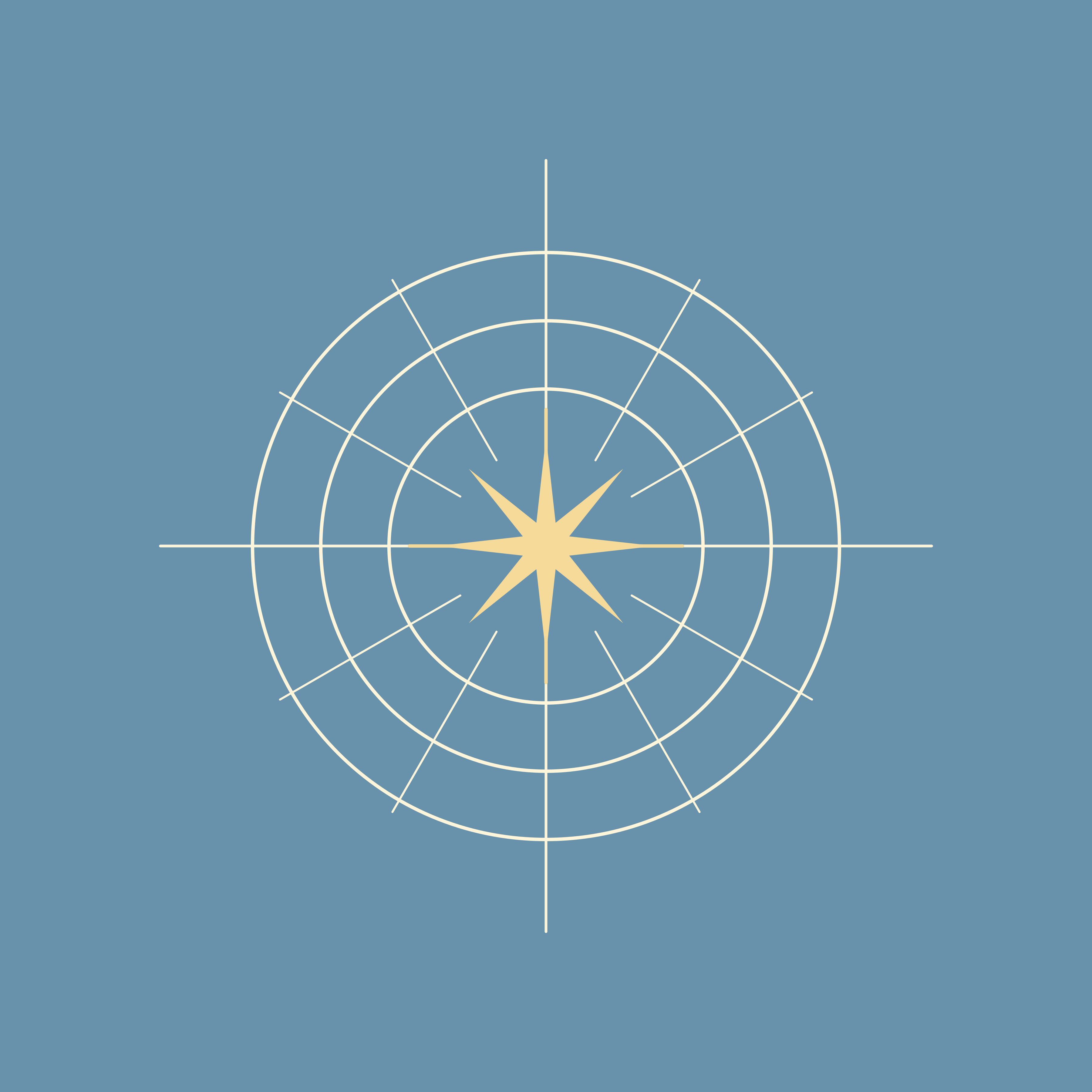 A compass rose with a star on a blue background.