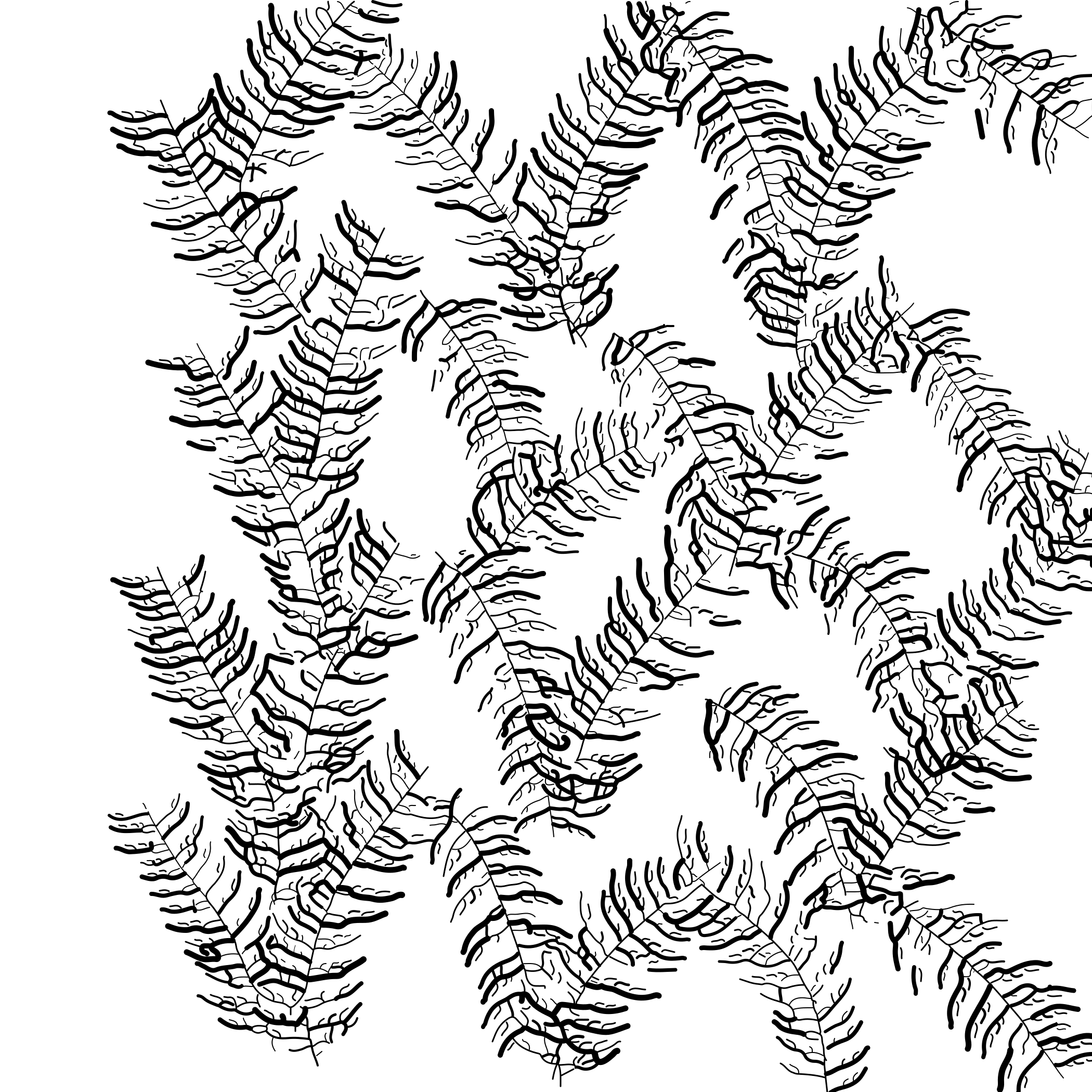Linee nere astratte che creano un motivo denso e organico