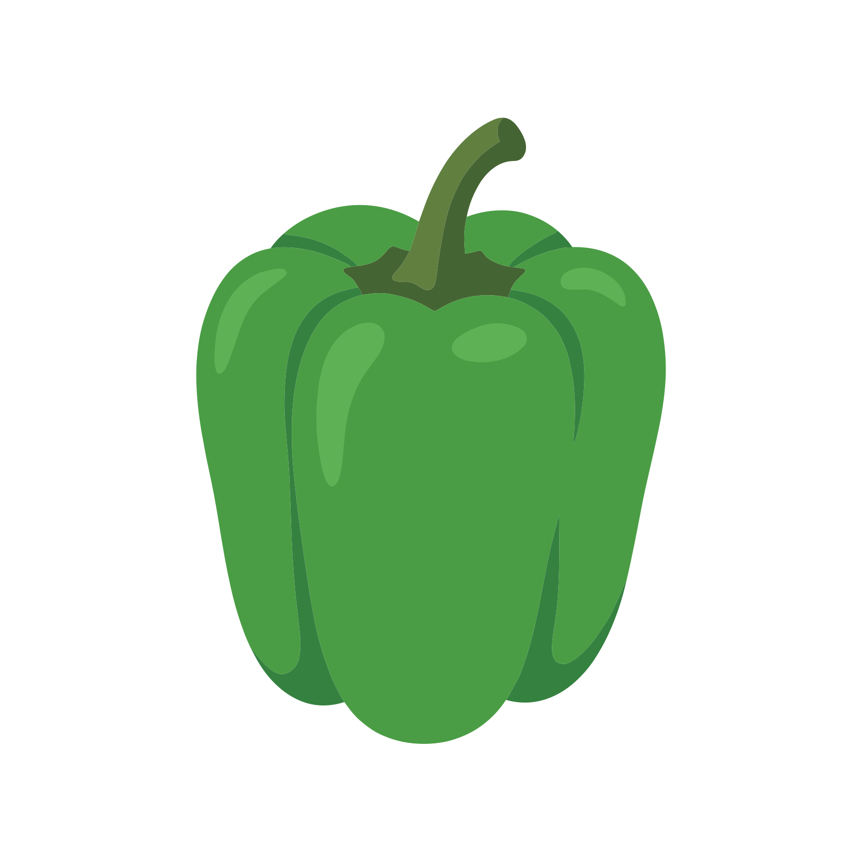 Satu paprika hijau dengan latar belakang putih.