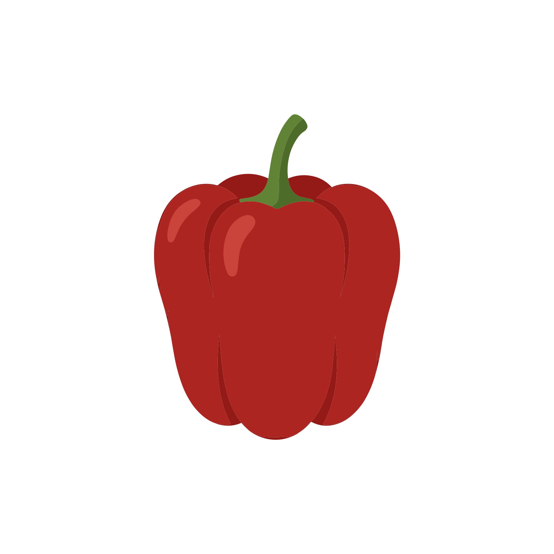 Satu paprika merah dengan latar belakang putih.