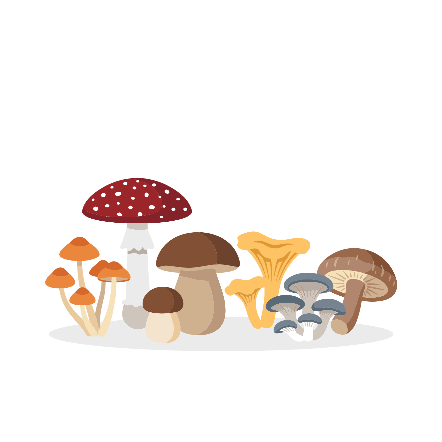 Verschiedene Arten bunter Pilze gruppierten sich.