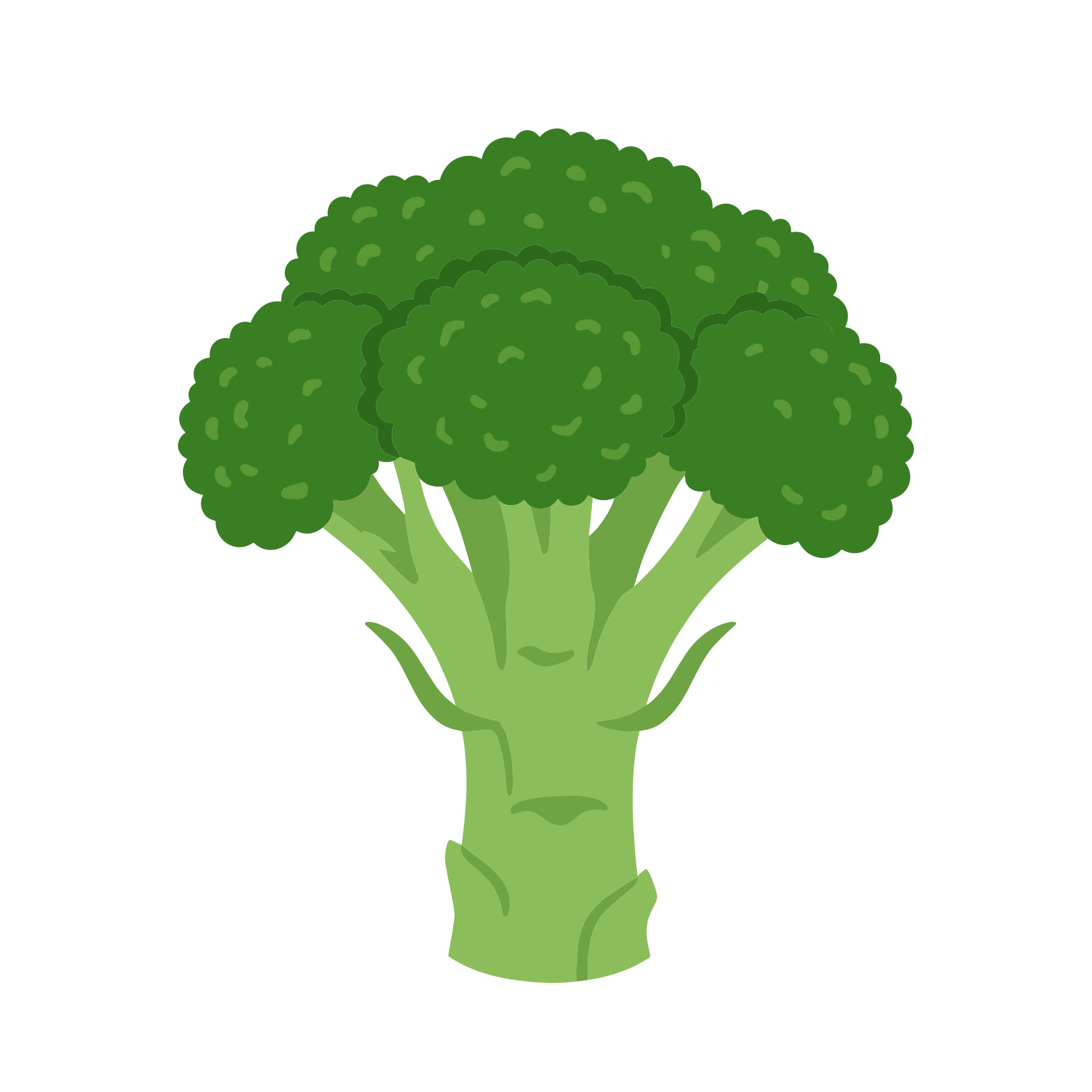 Un solo florete verde de brócoli sobre fondo blanco.