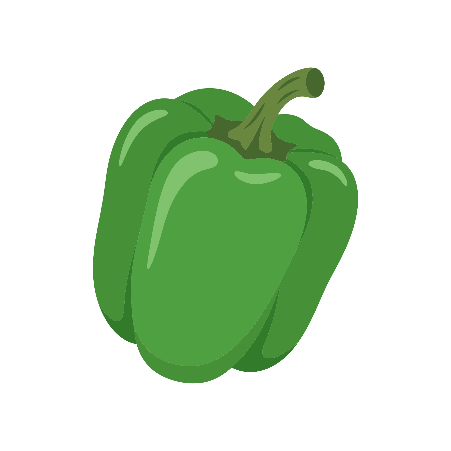 Un solo peperone verde.