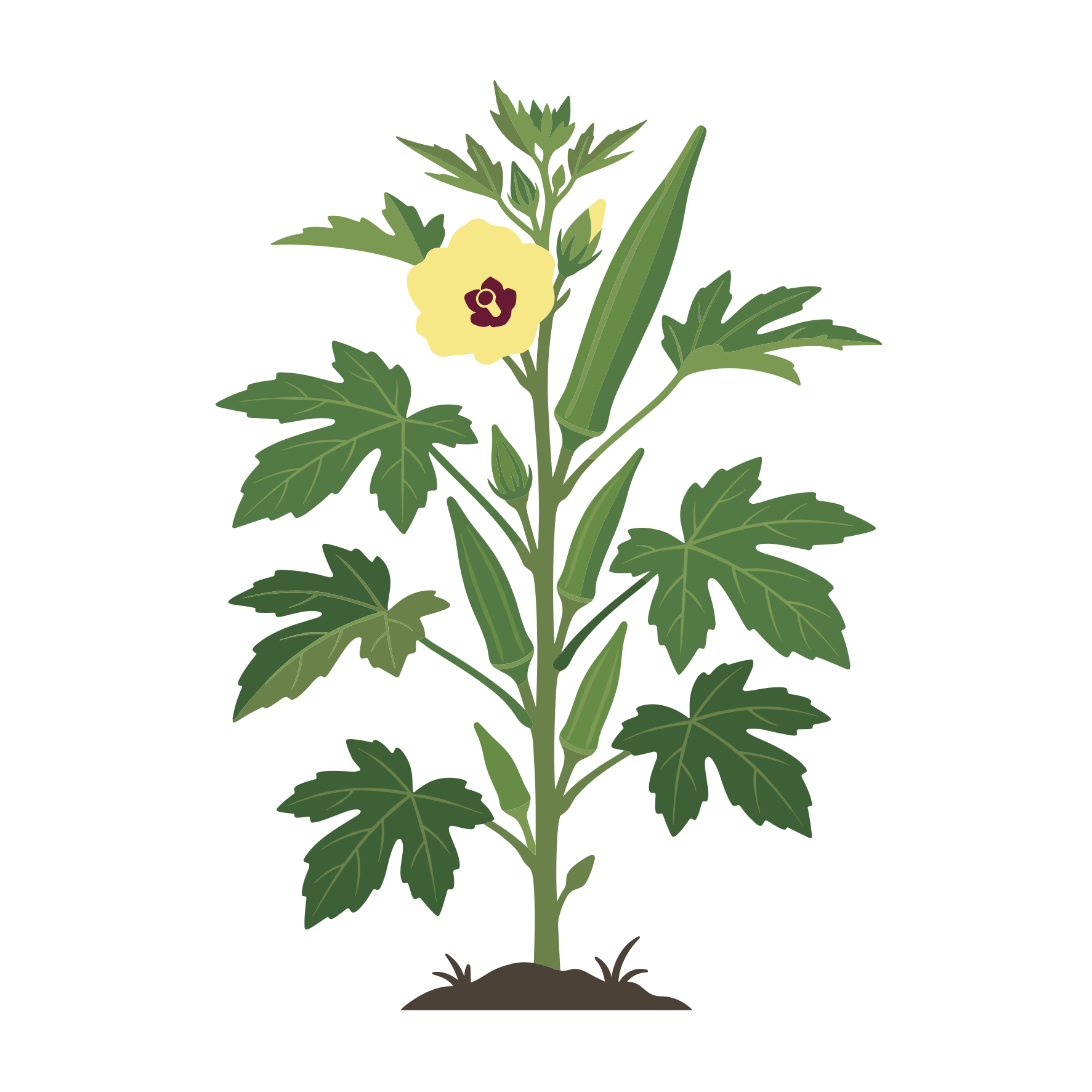 An okra plant with green leaves, yellow flower, and pods.